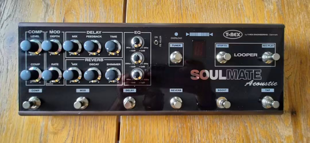 Vends soulmate Acoustic T rex avec boîte 