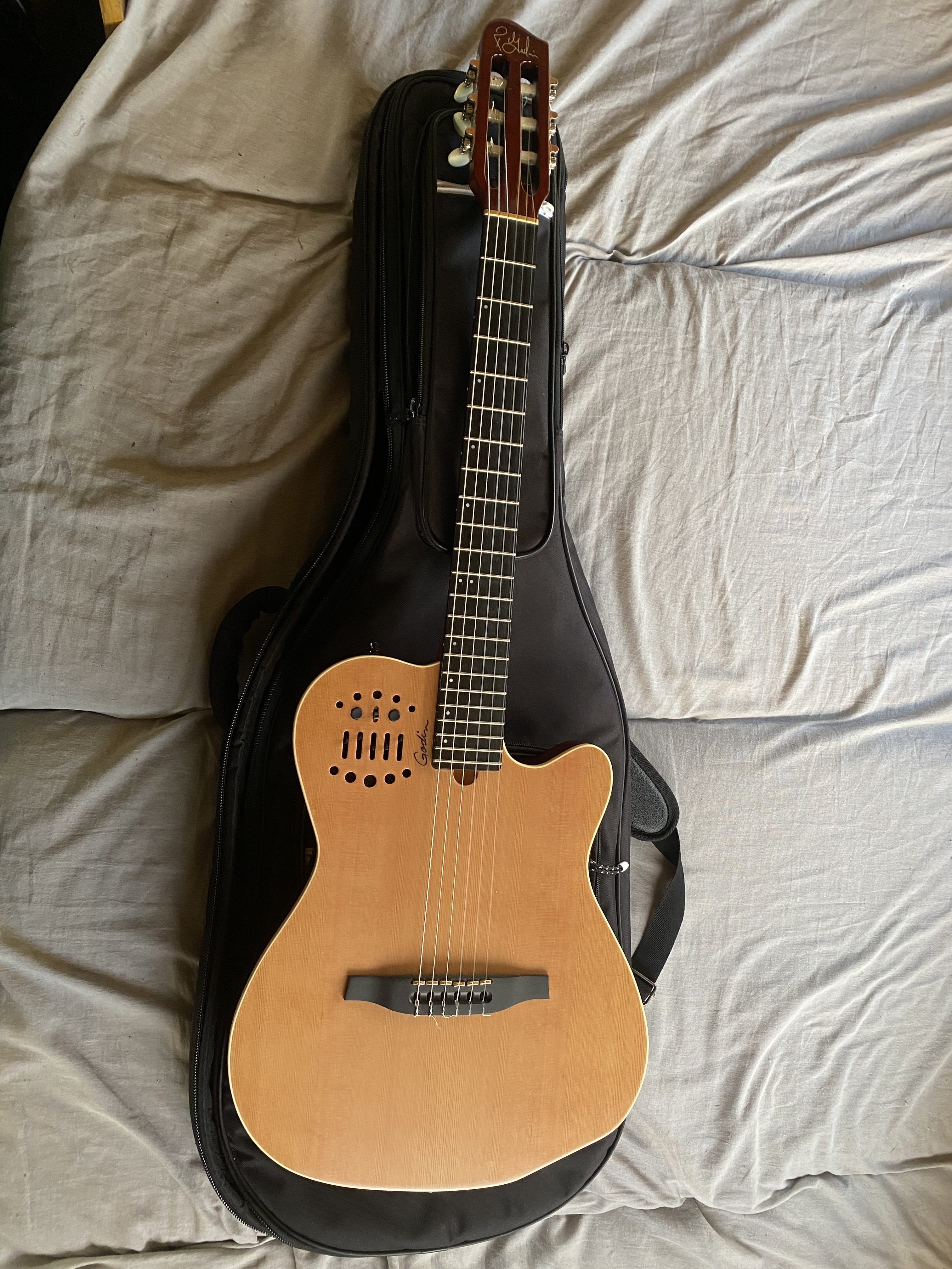 Godin housse
