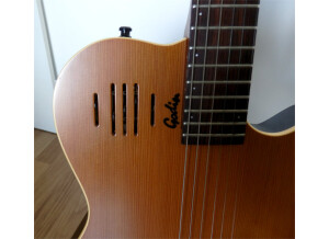 Godin A6 - Natural