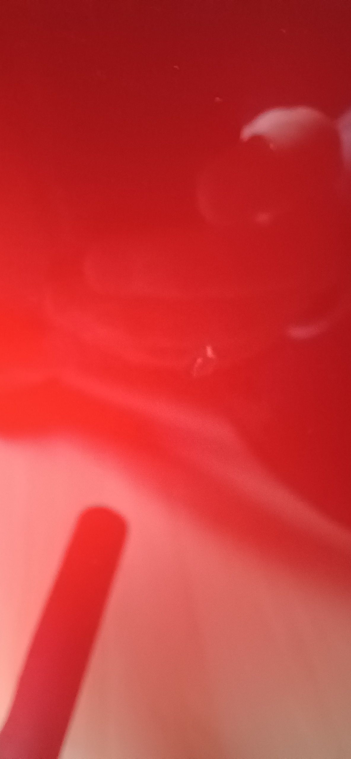 20261011 144149