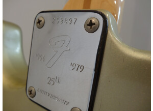 Fender 25th anniversary American Stratocaster (1979) (17820)