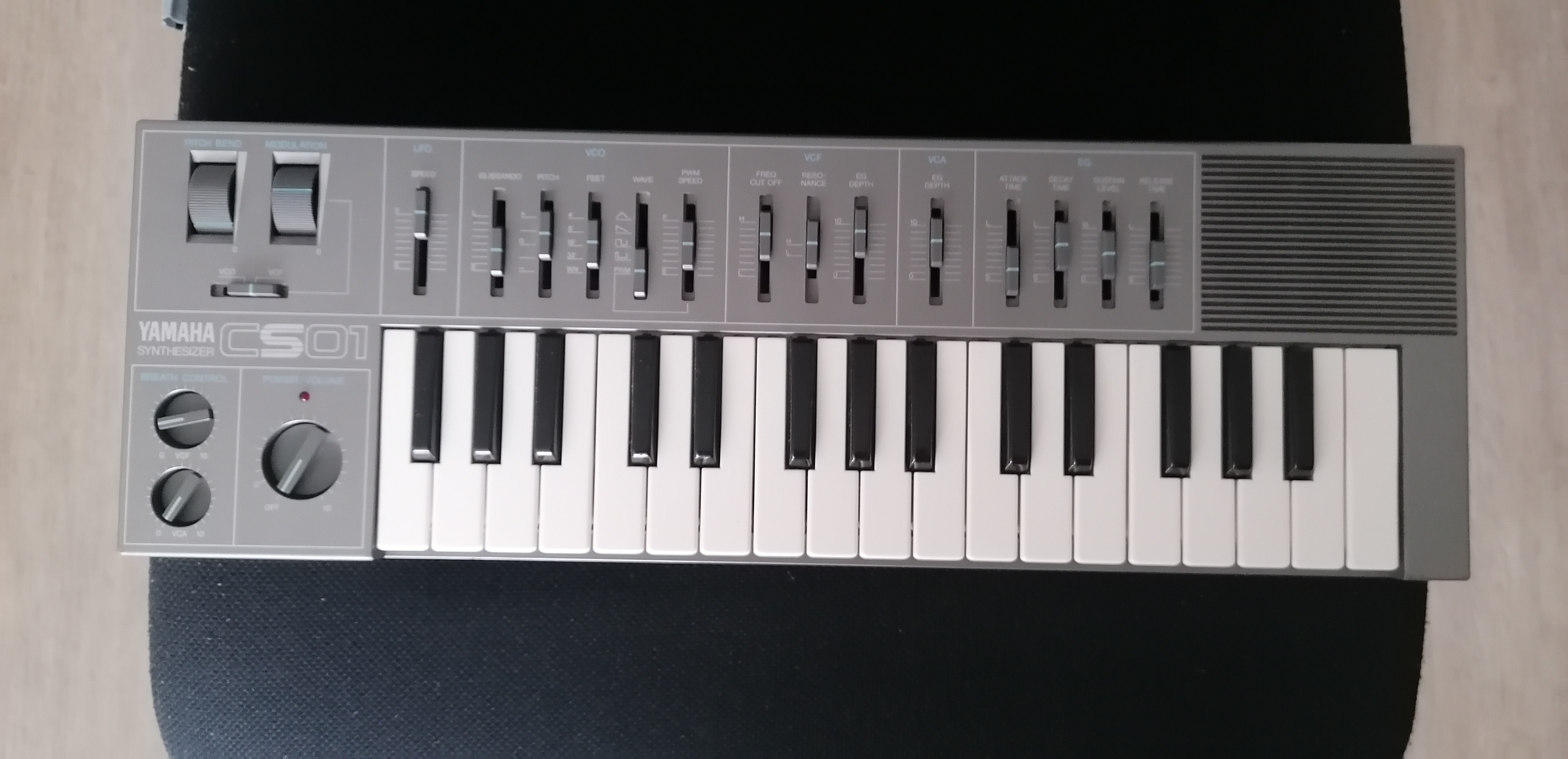 Yamaha  cs01