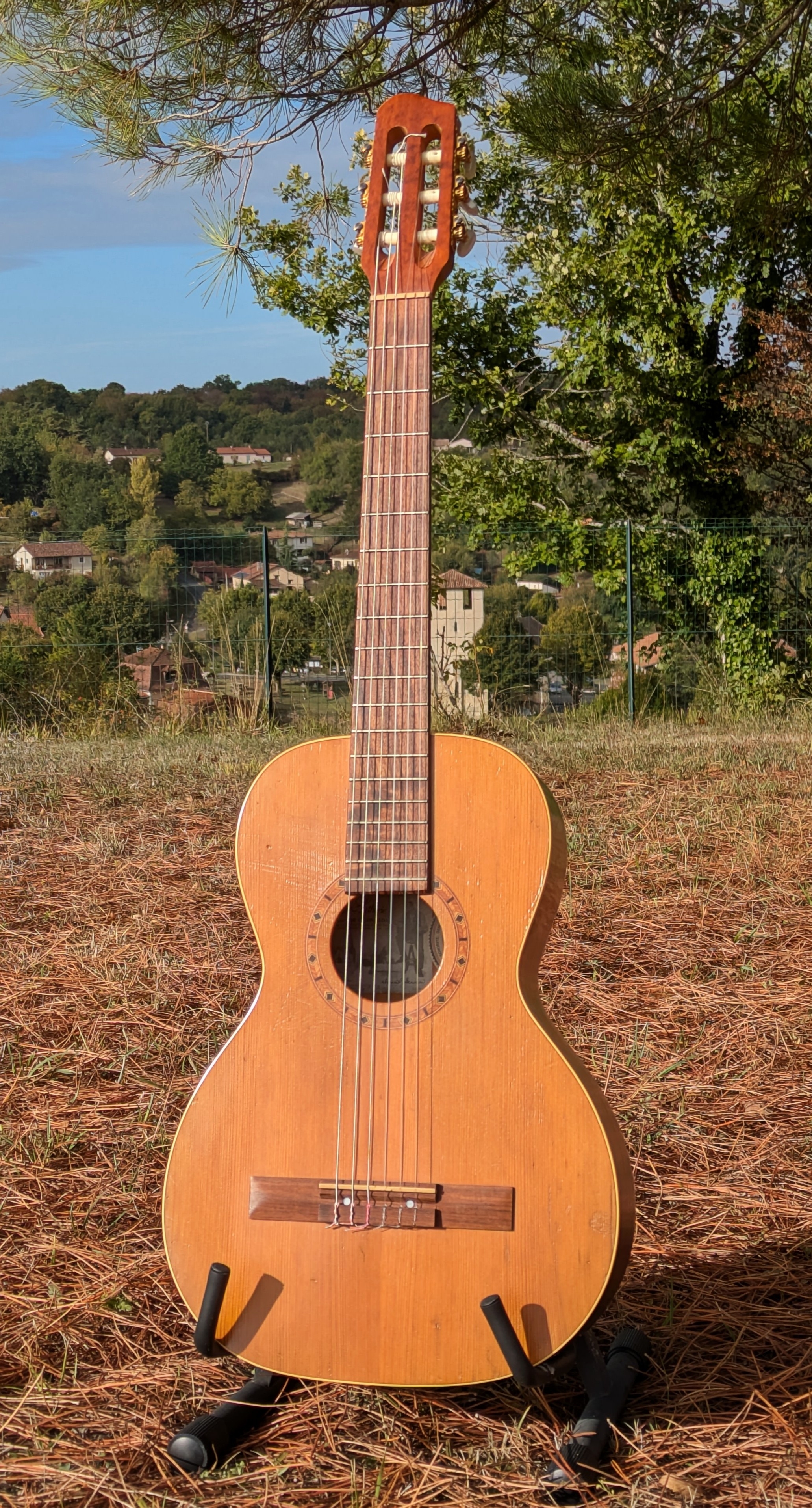 Art et Lutherie Ami Nylon Cedar 2005