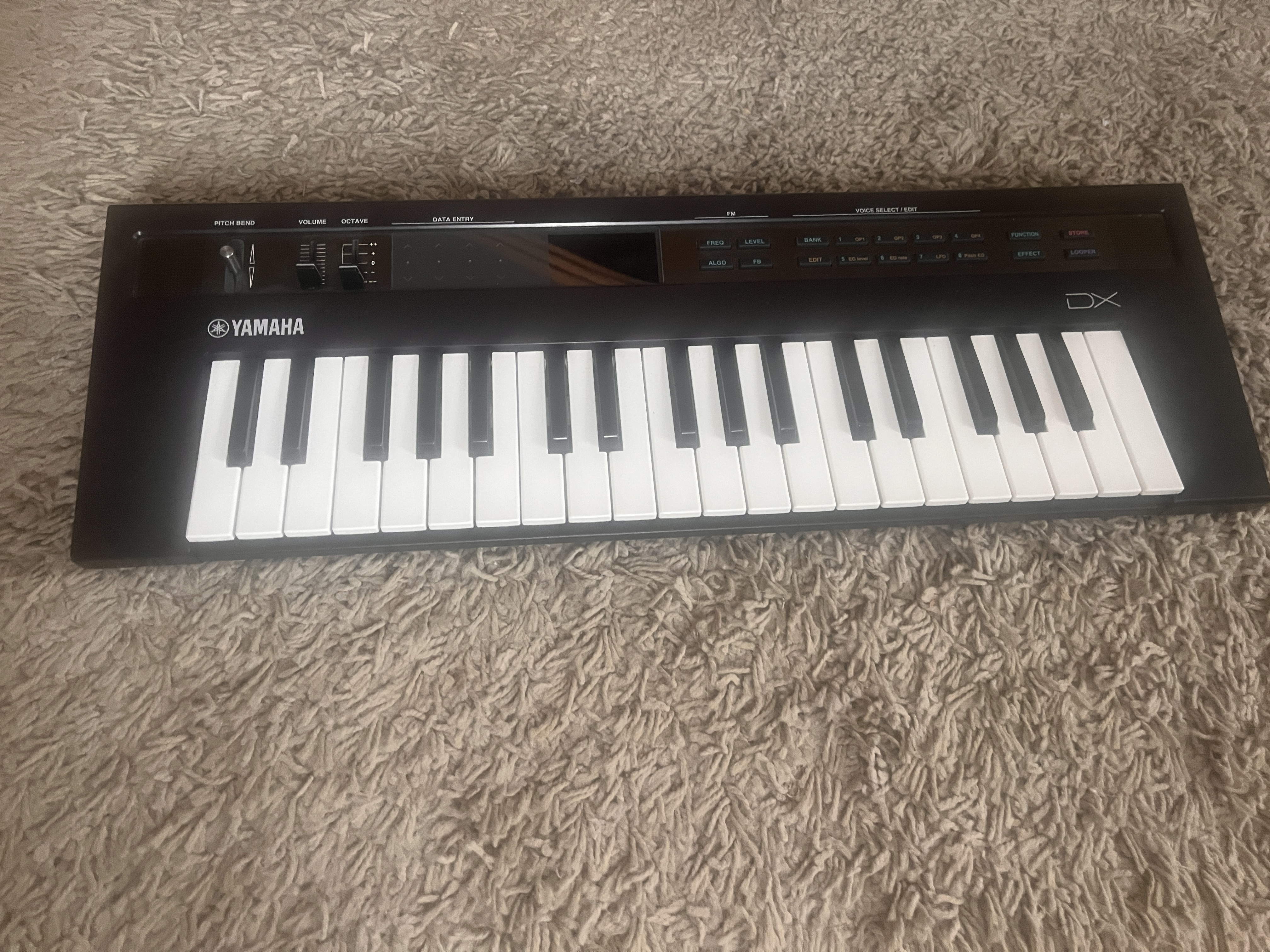 Reface DX
