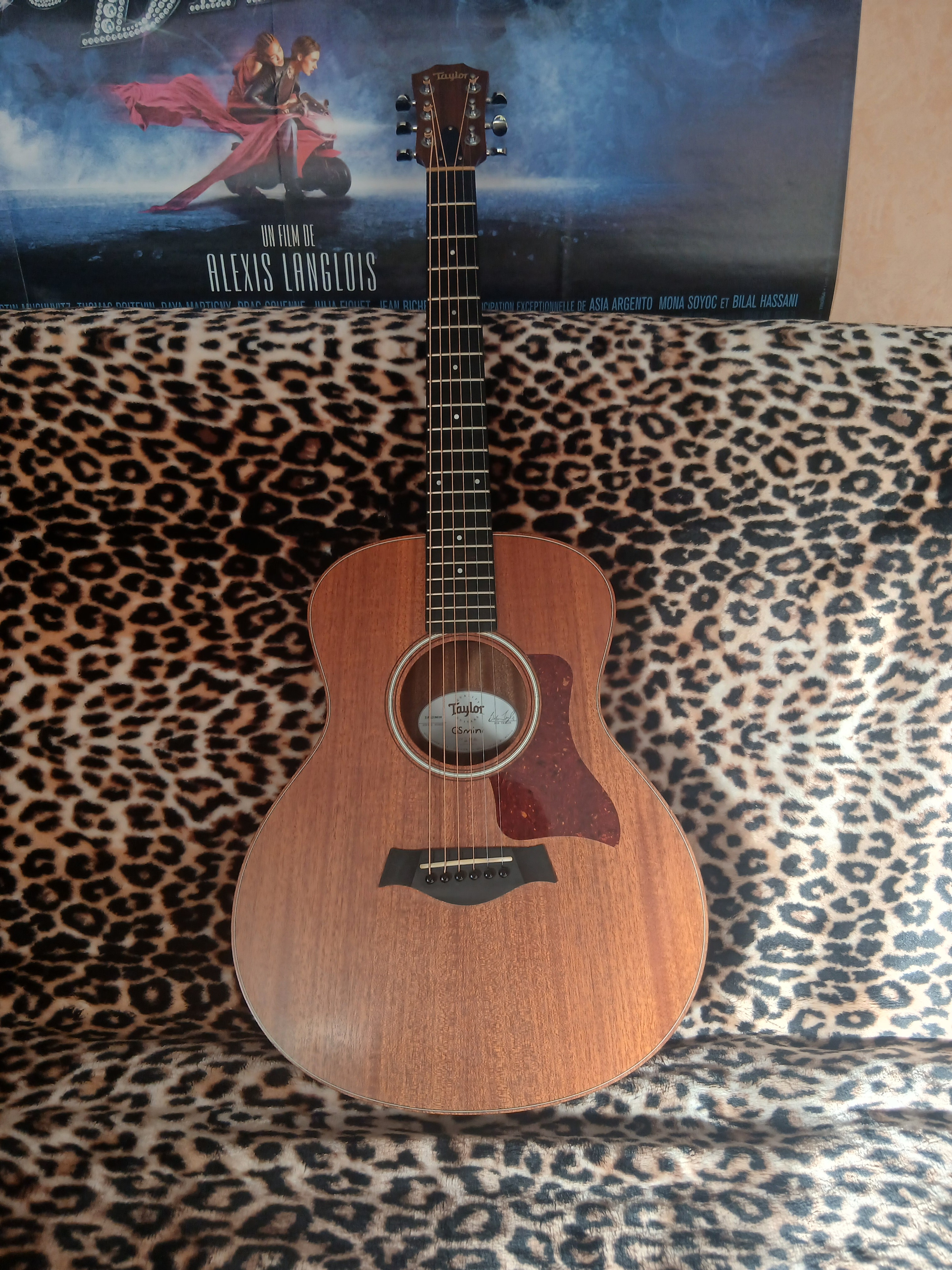 Taylor GS Mini Mahogany