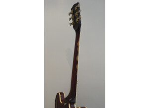 Gibson ES-335 TD (1977) (41492)