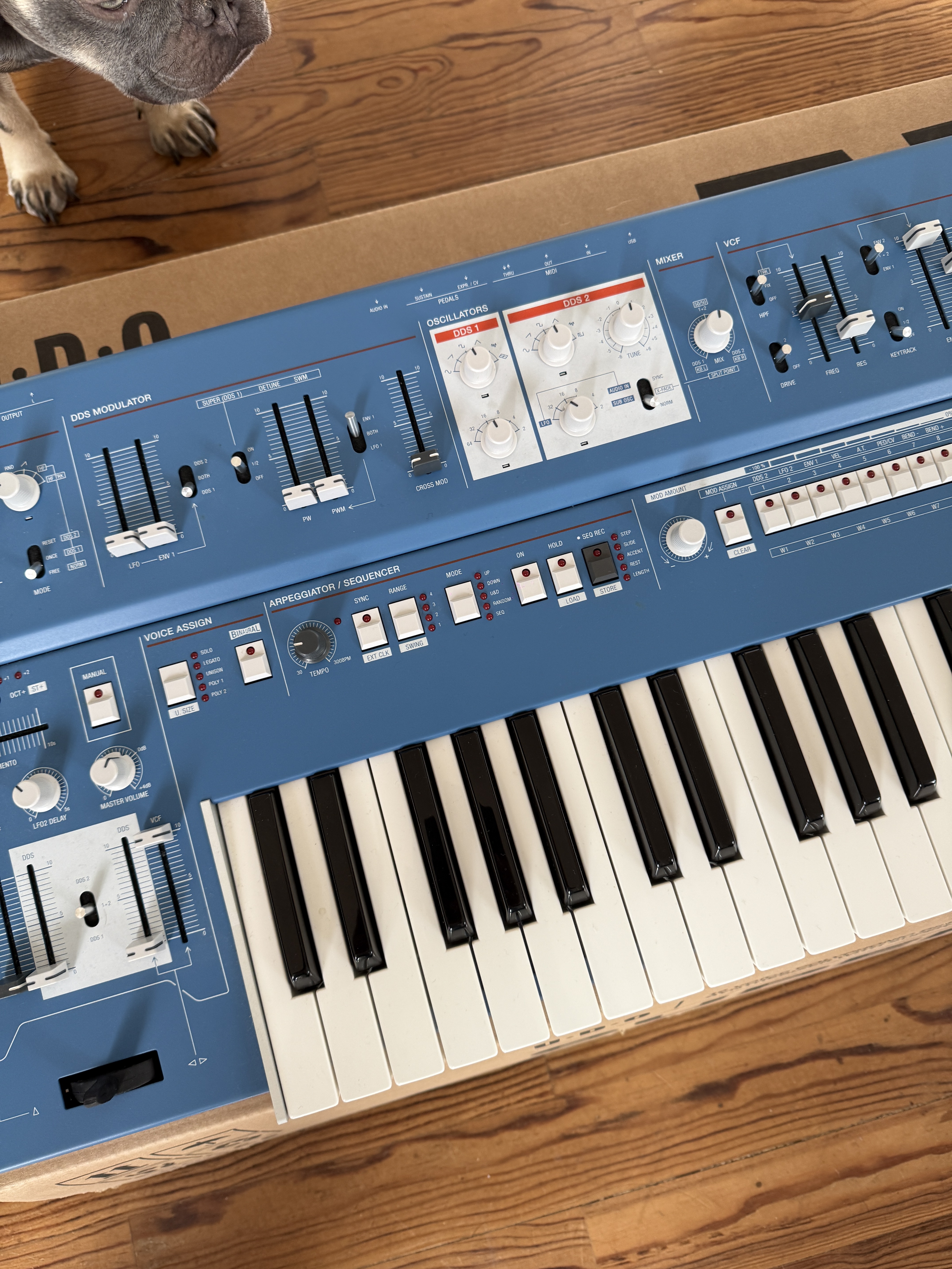 UDO Audio Super 6 (42987)