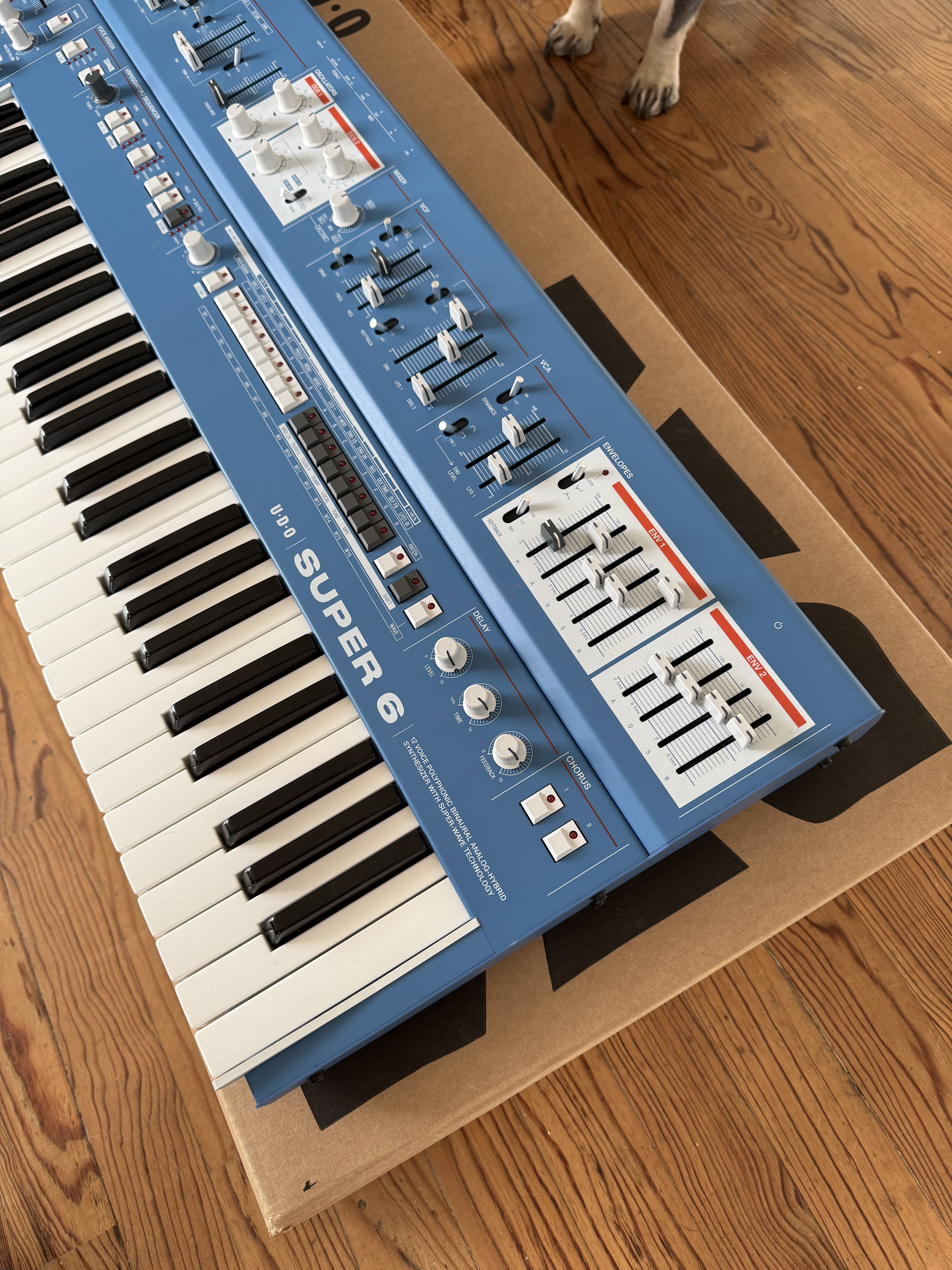UDO Audio Super 6 (5599)