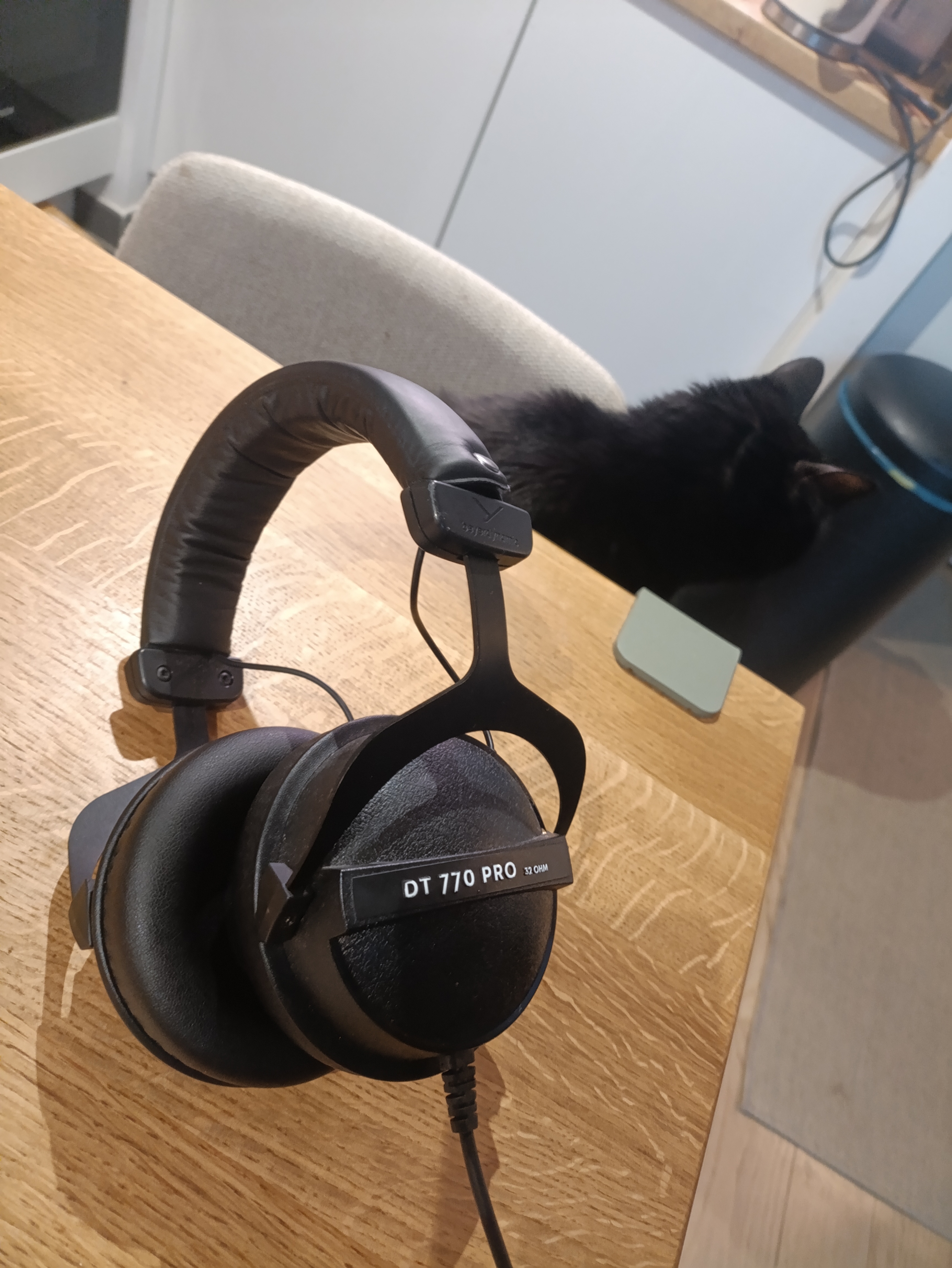 Vends Beyer Dt 770 pro