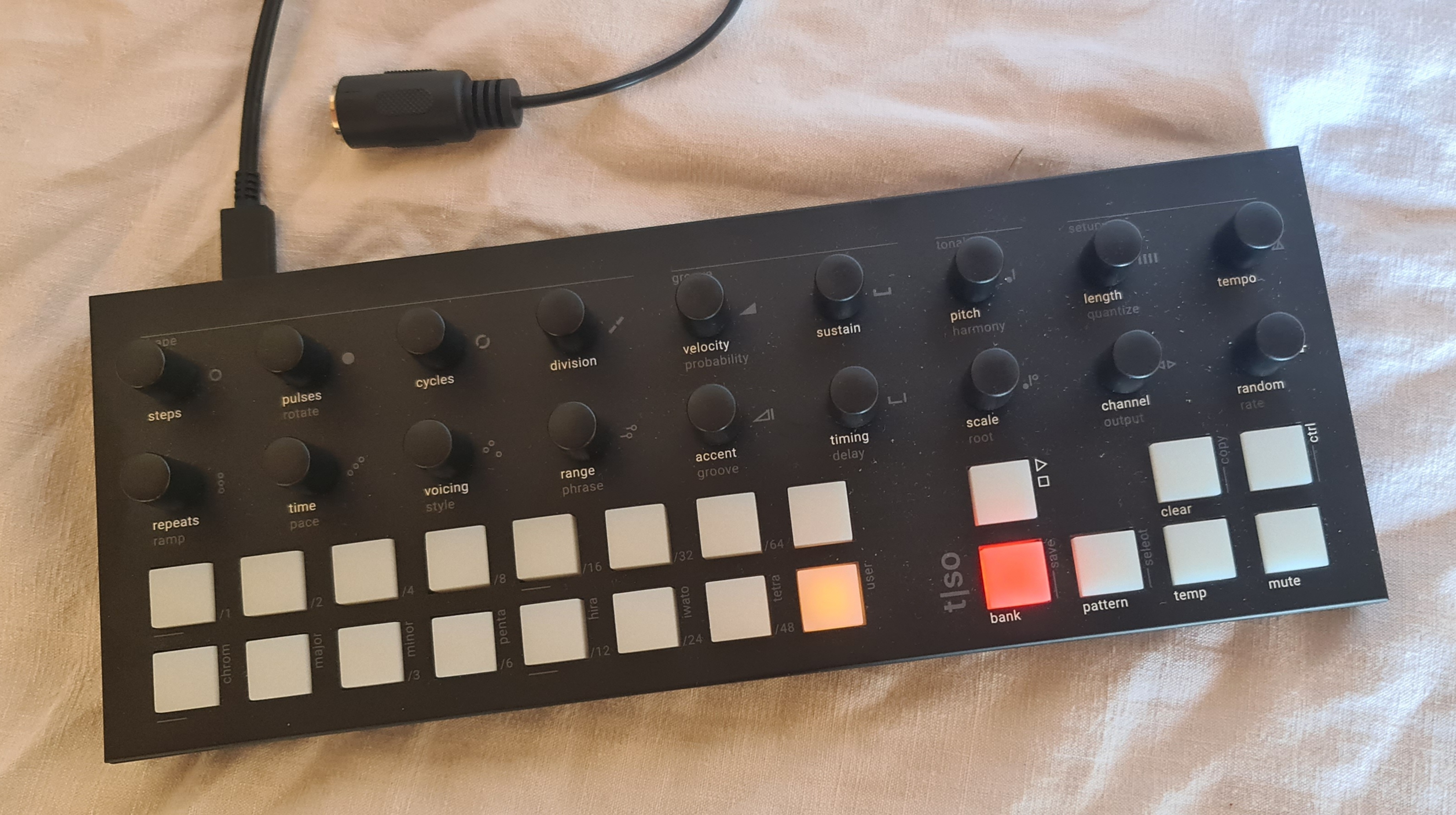 Vends torso T1