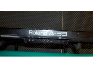 Roland A-33 (31703)