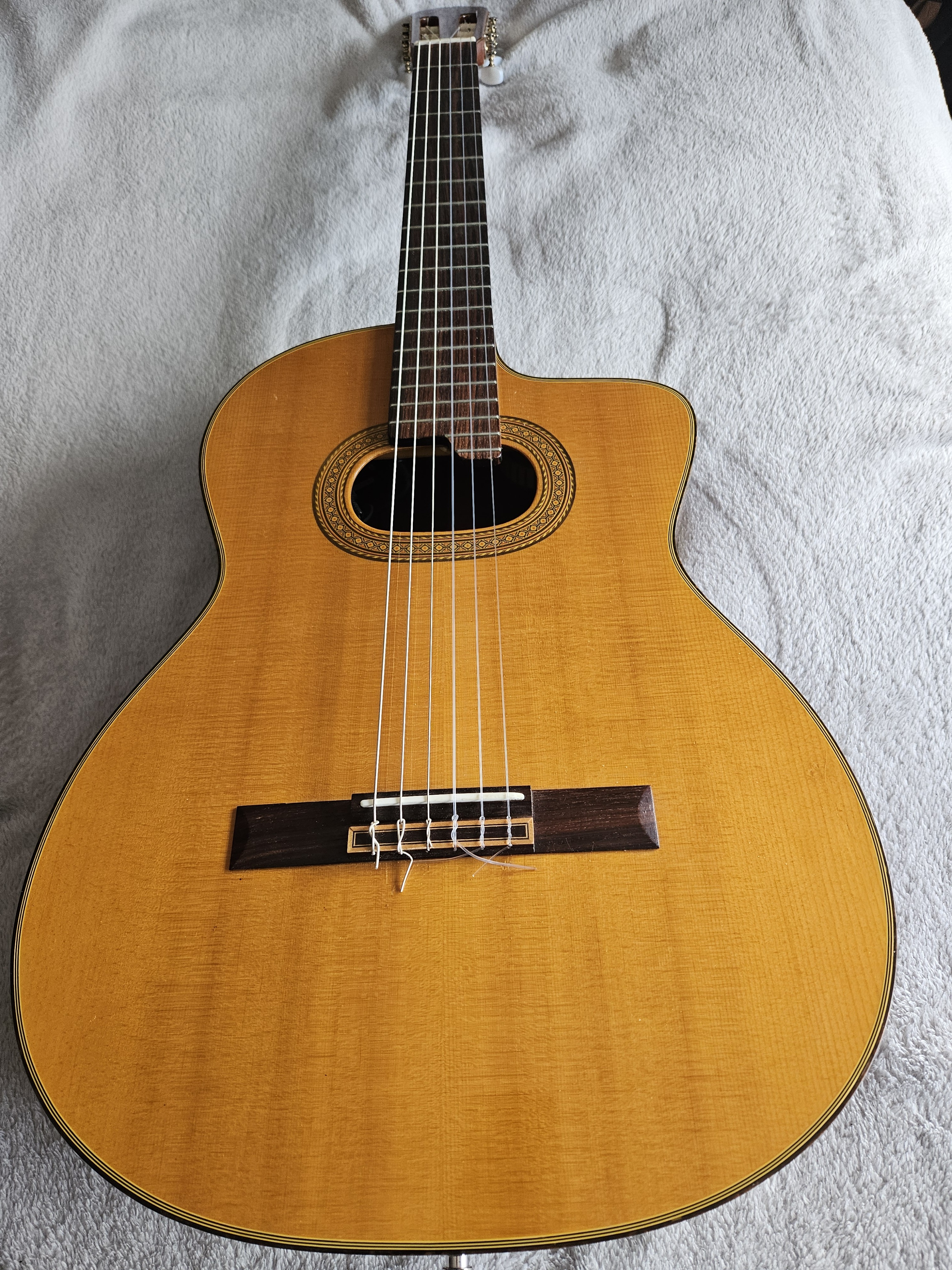 Vends Takamine E30 cordes nylon