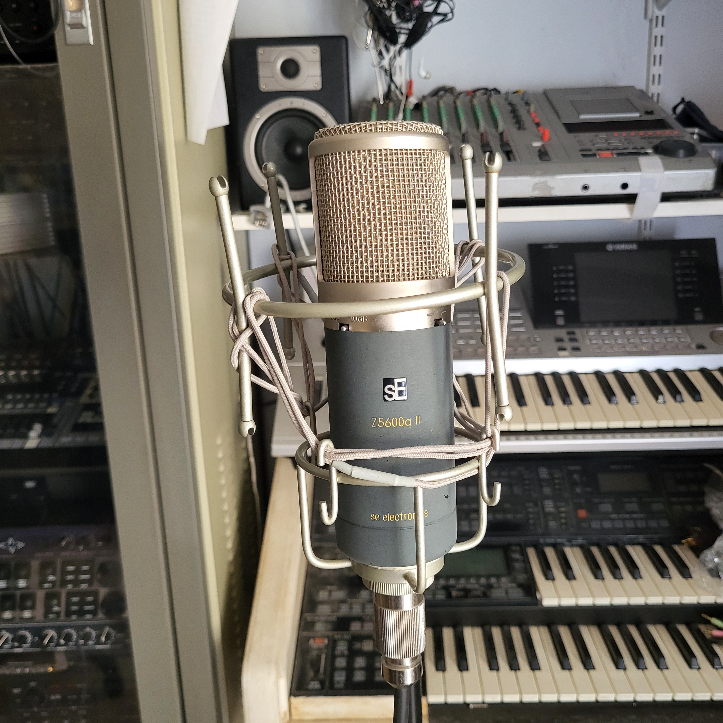 sE Electronics Z5600a-II