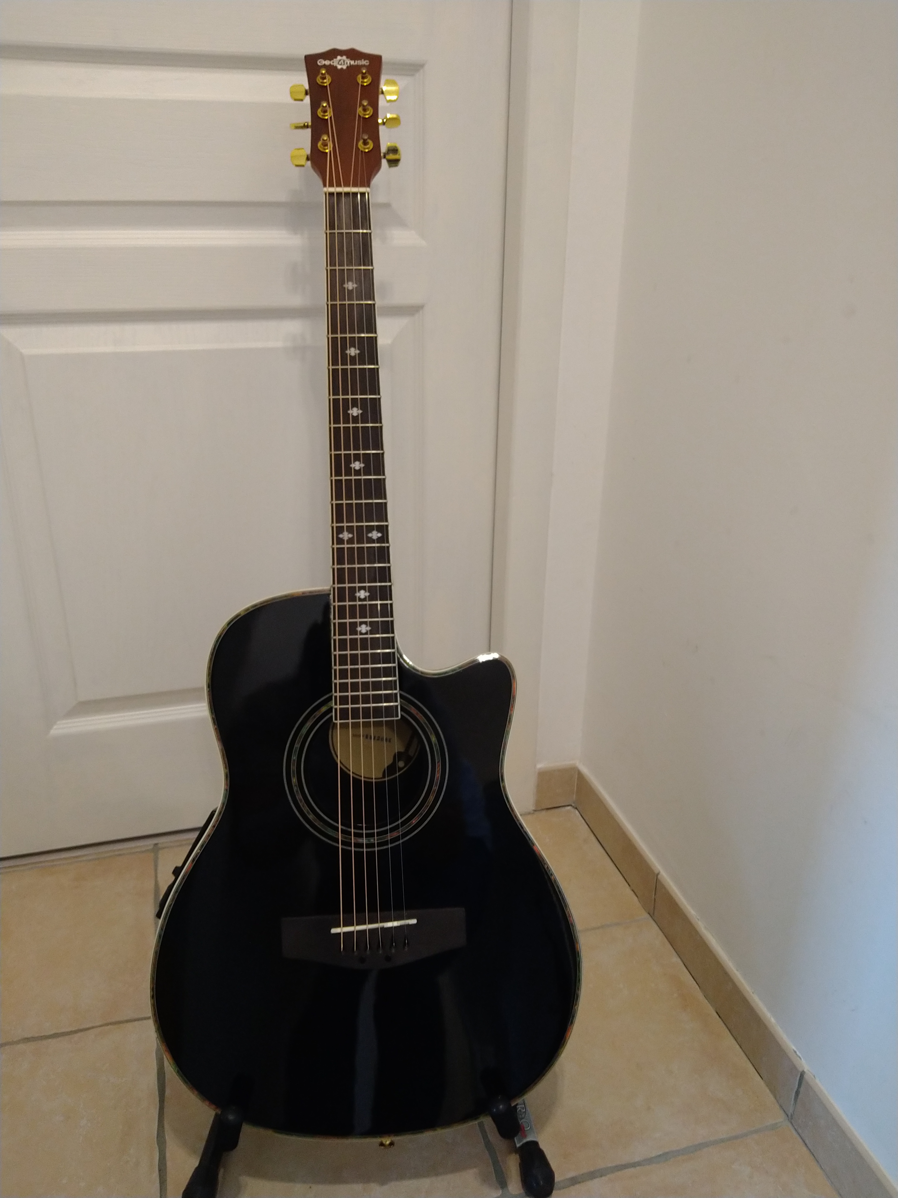 Vends guitare électro-acoustique G4M