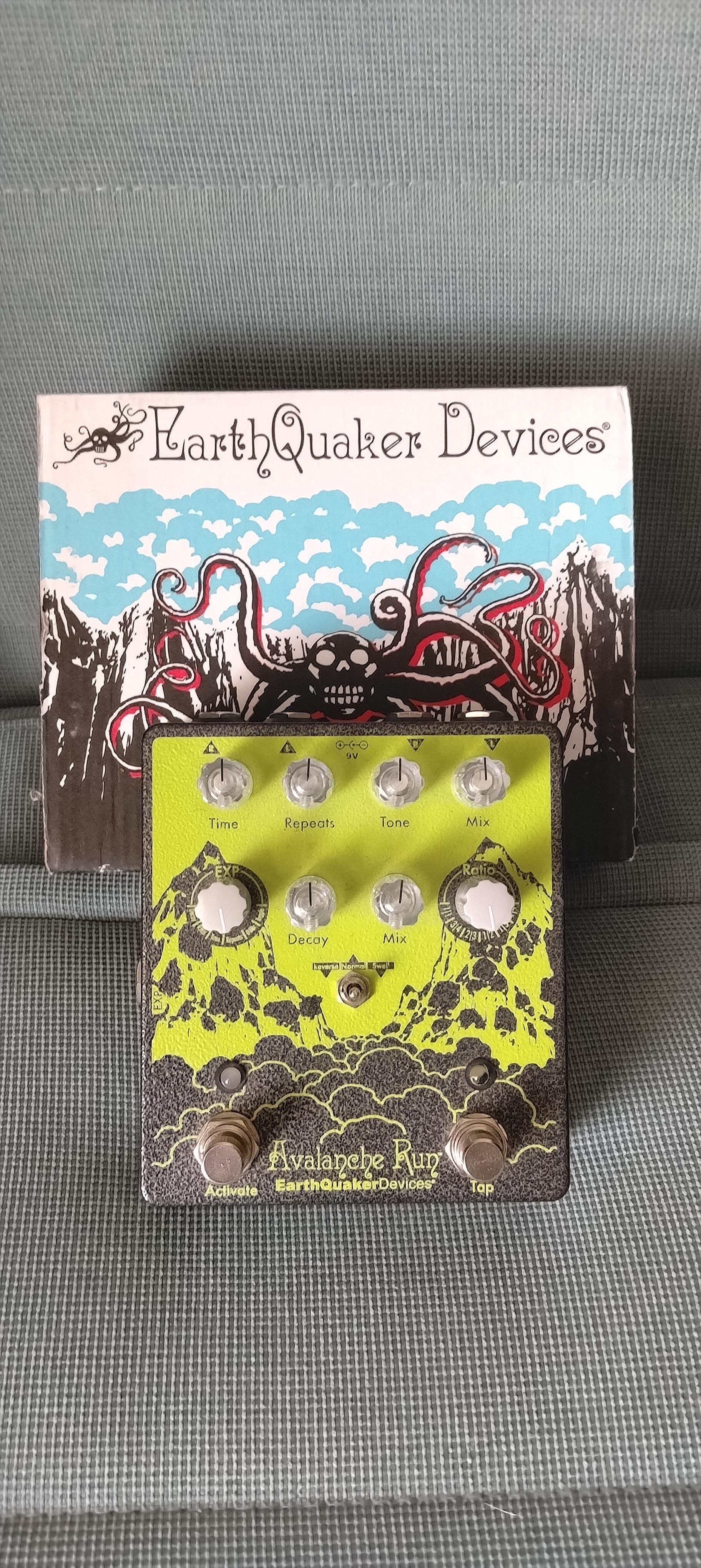Earthquaker Devices Avalanche Run V2 RYO Edition Delay Reverb 