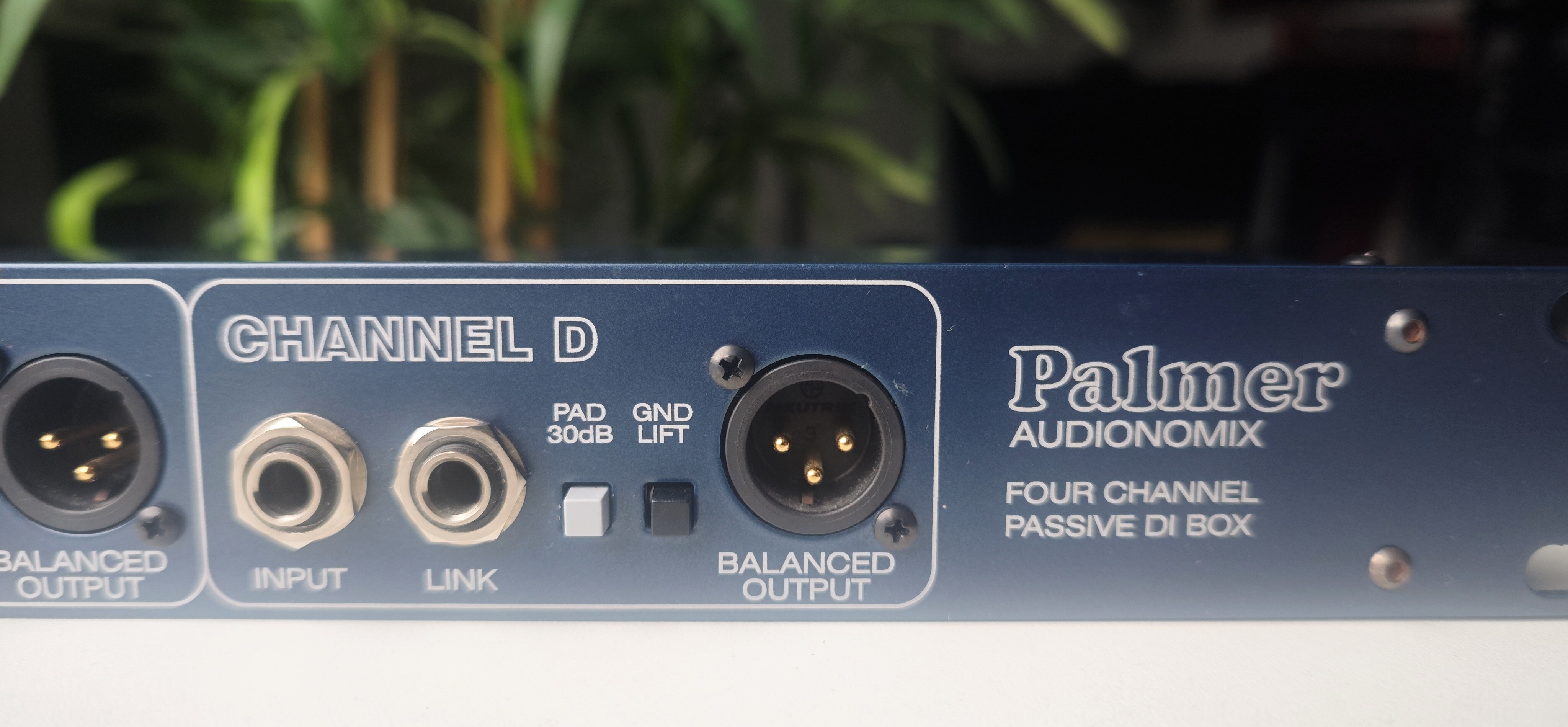 Palmer PAN 03 Passive (20383)