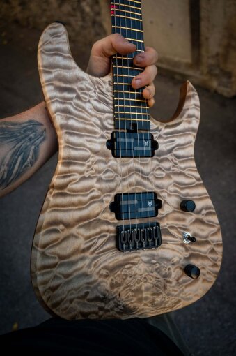 Hufschmid666Body Hufschmid666Body