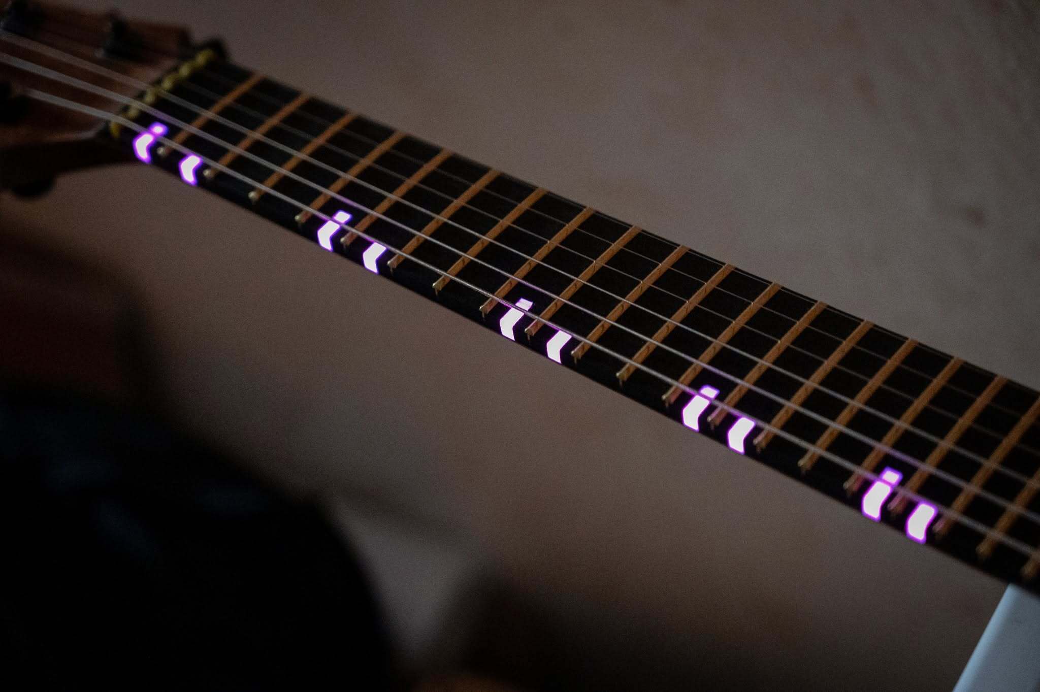Hufschmid666Inlays2