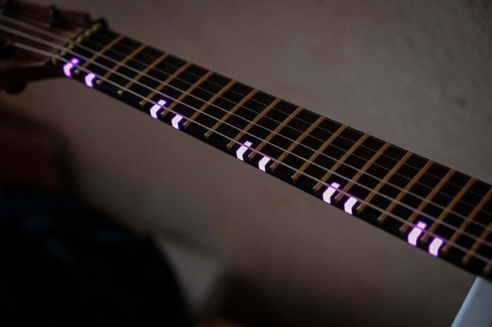Hufschmid666Inlays2 Hufschmid666Inlays2