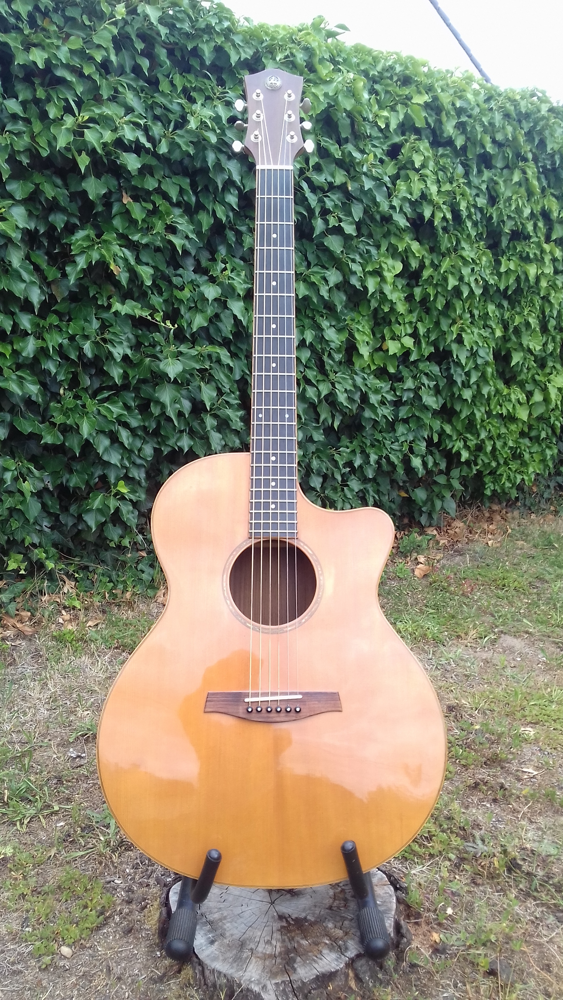 Vends guitare Vendramini 