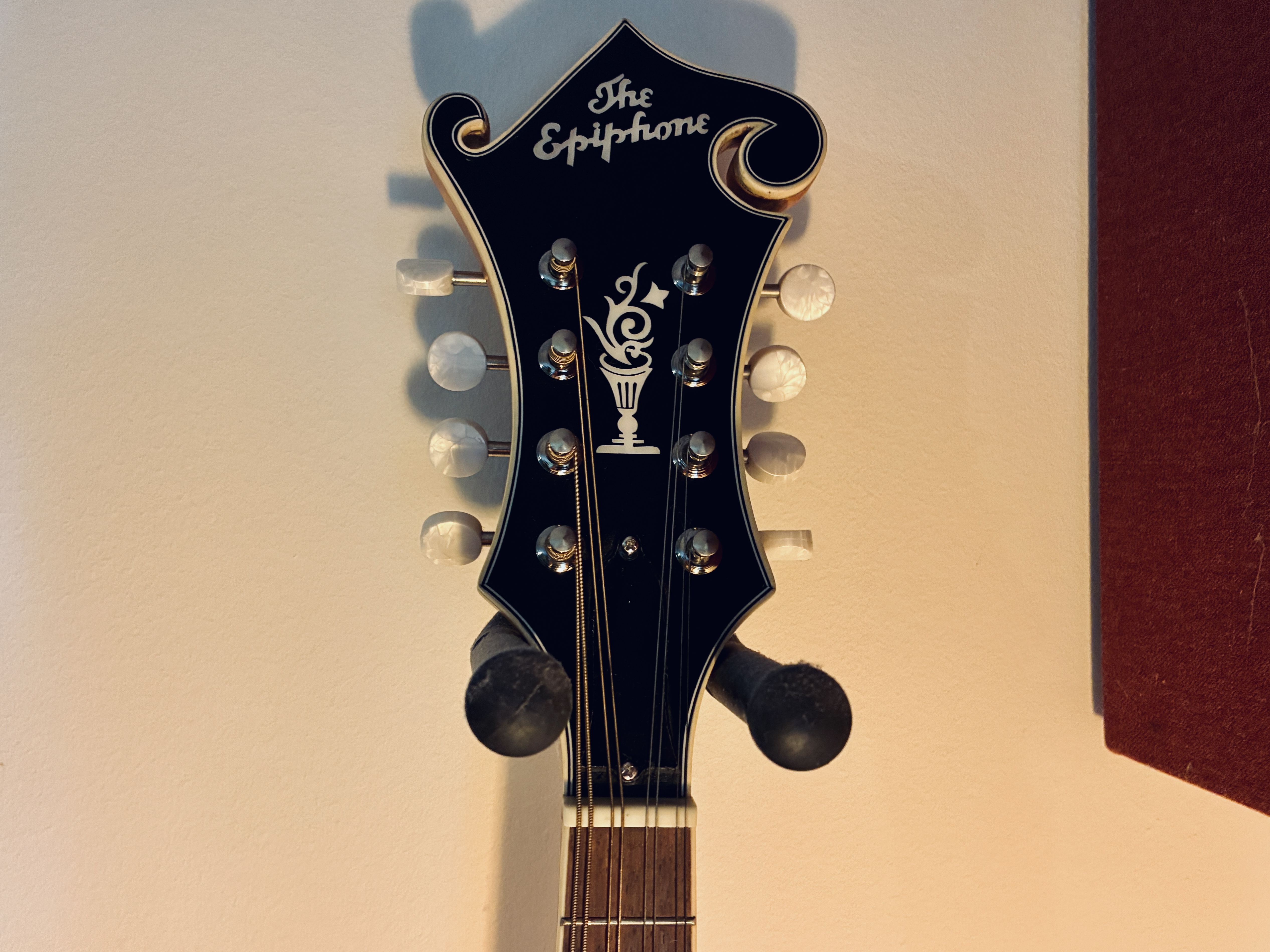 Epiphone MM-50E Professional (53933)