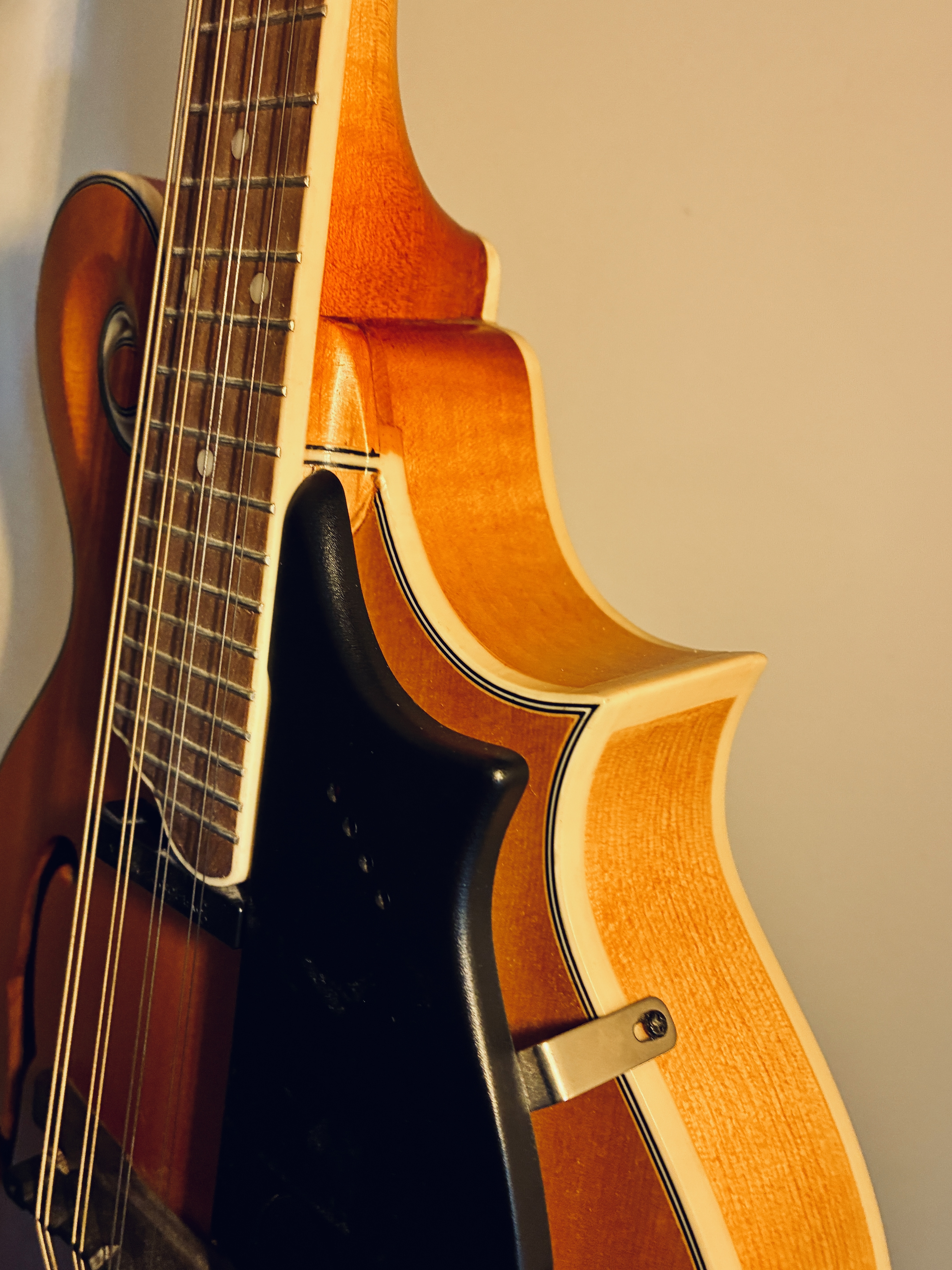 Epiphone MM-50E Professional (27520)