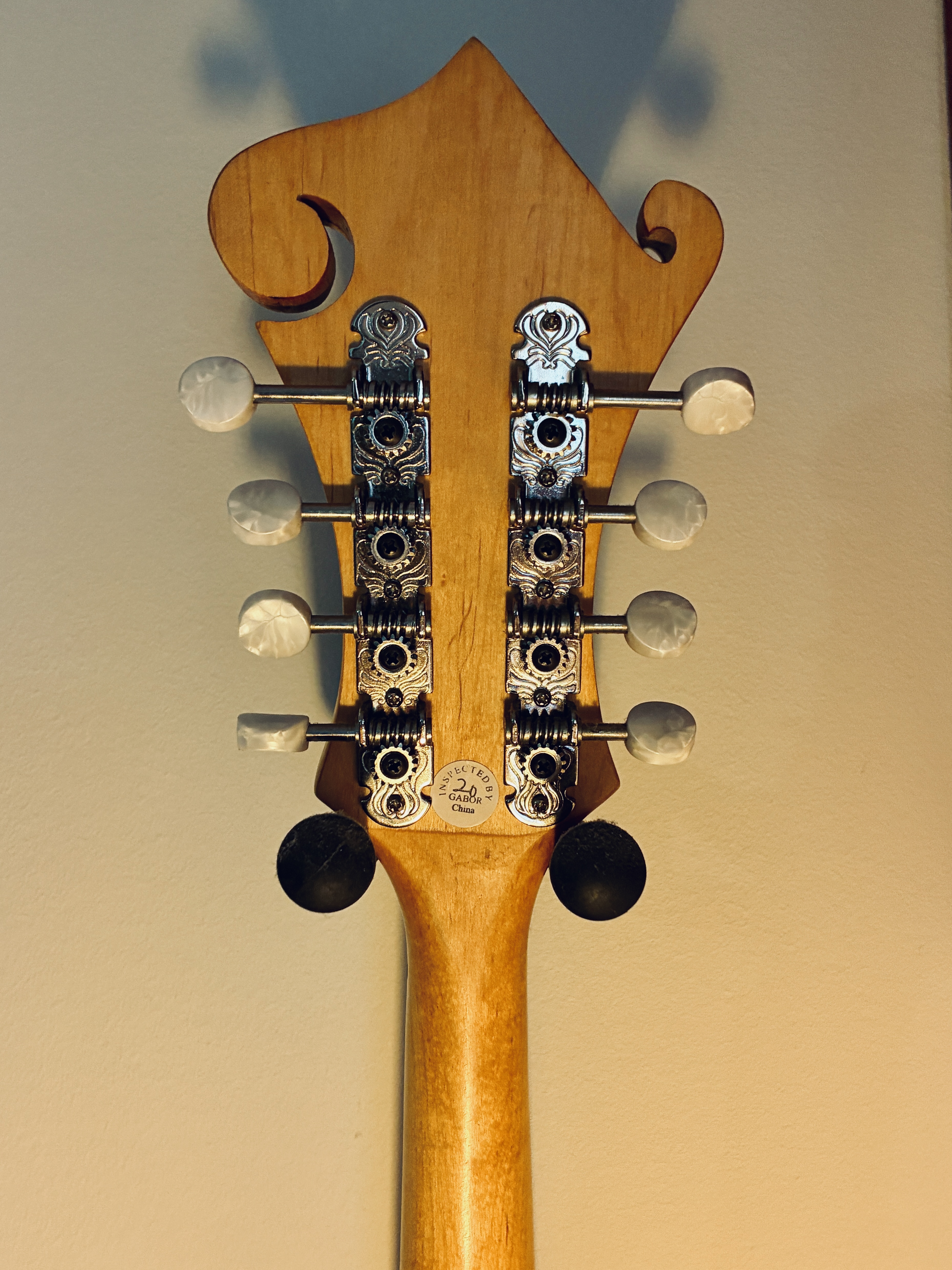 Epiphone MM-50E Professional (69529)