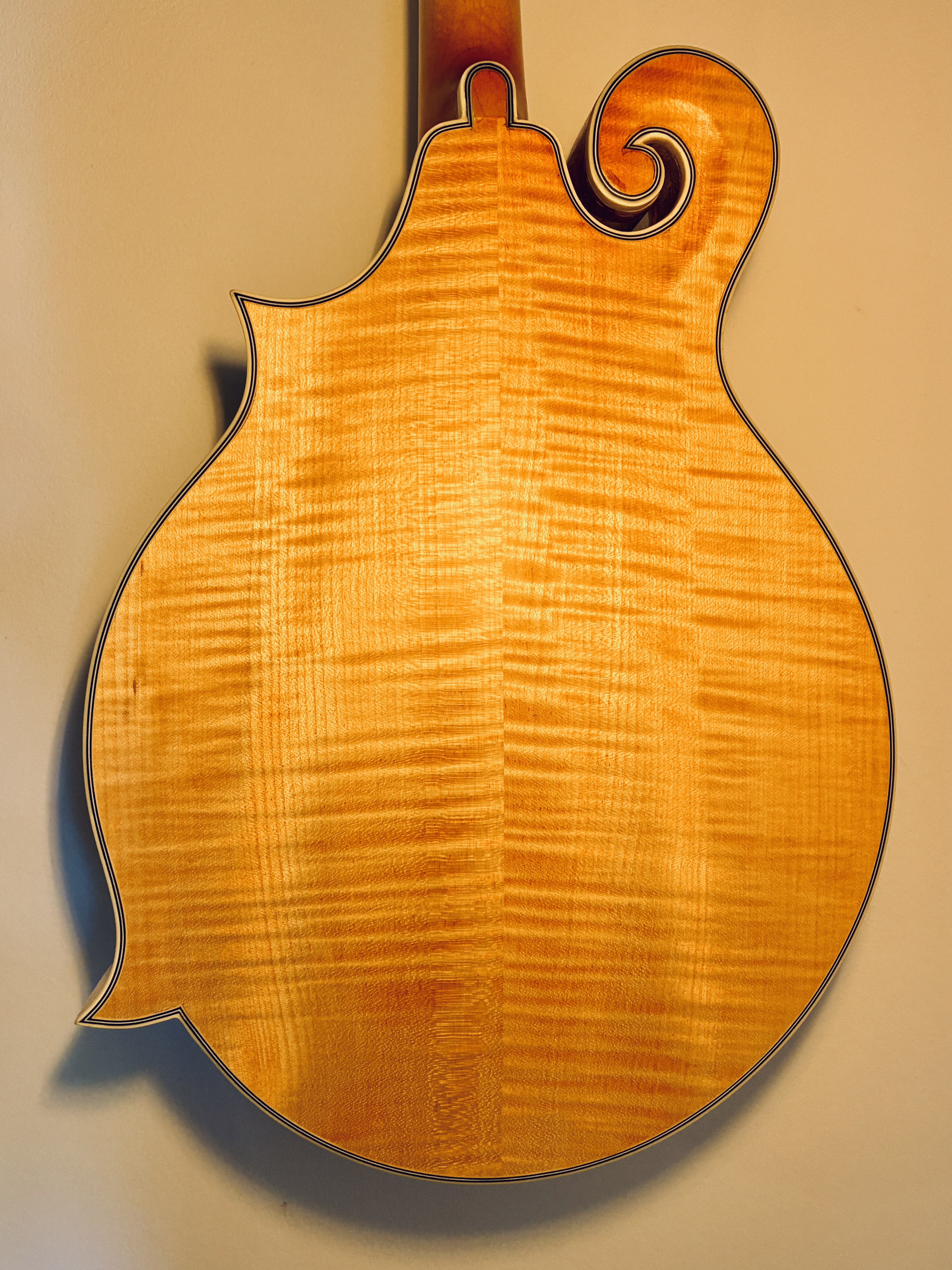 Epiphone MM-50E Professional (8468)