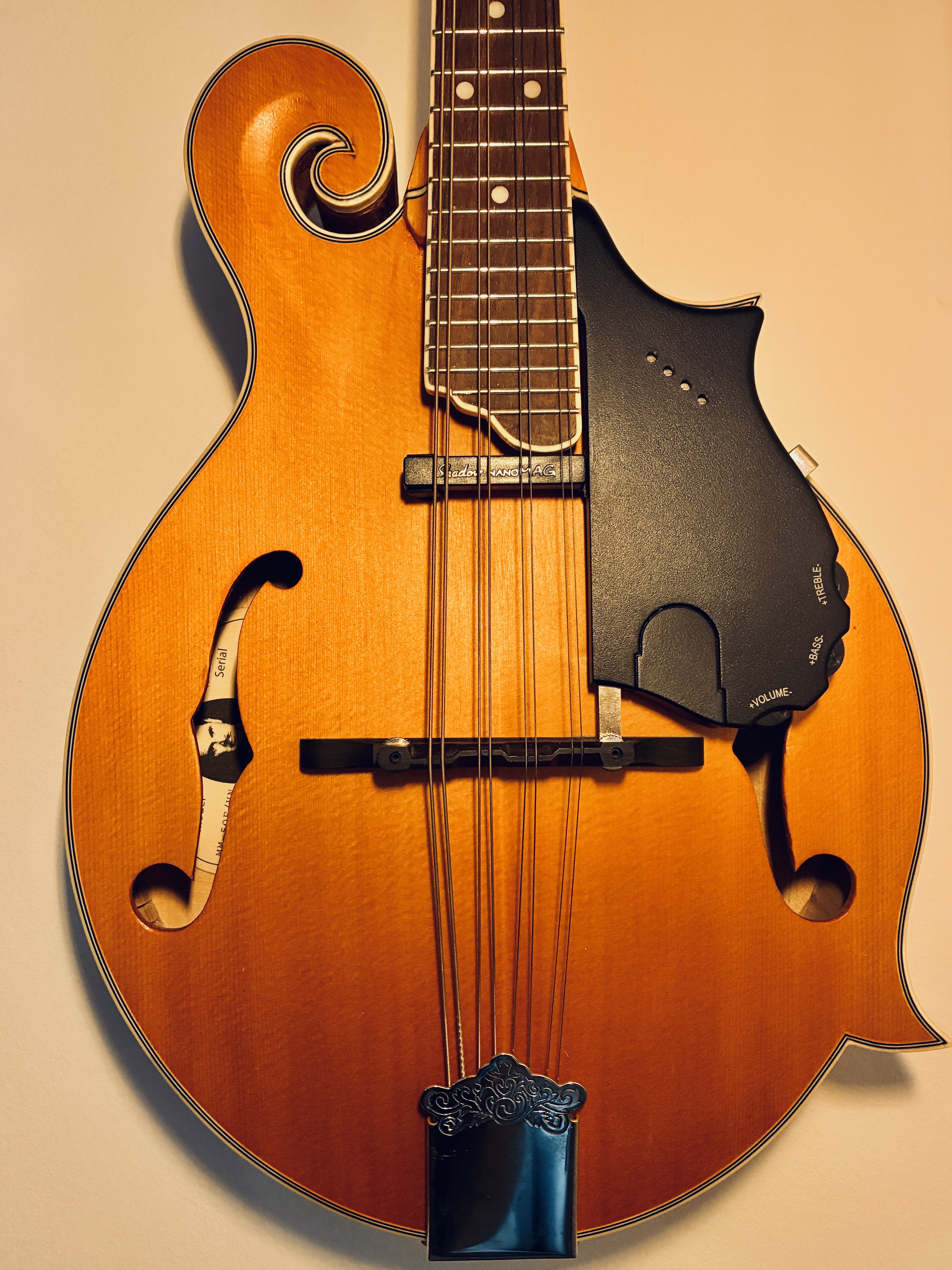 Epiphone MM-50E Professional (56143)