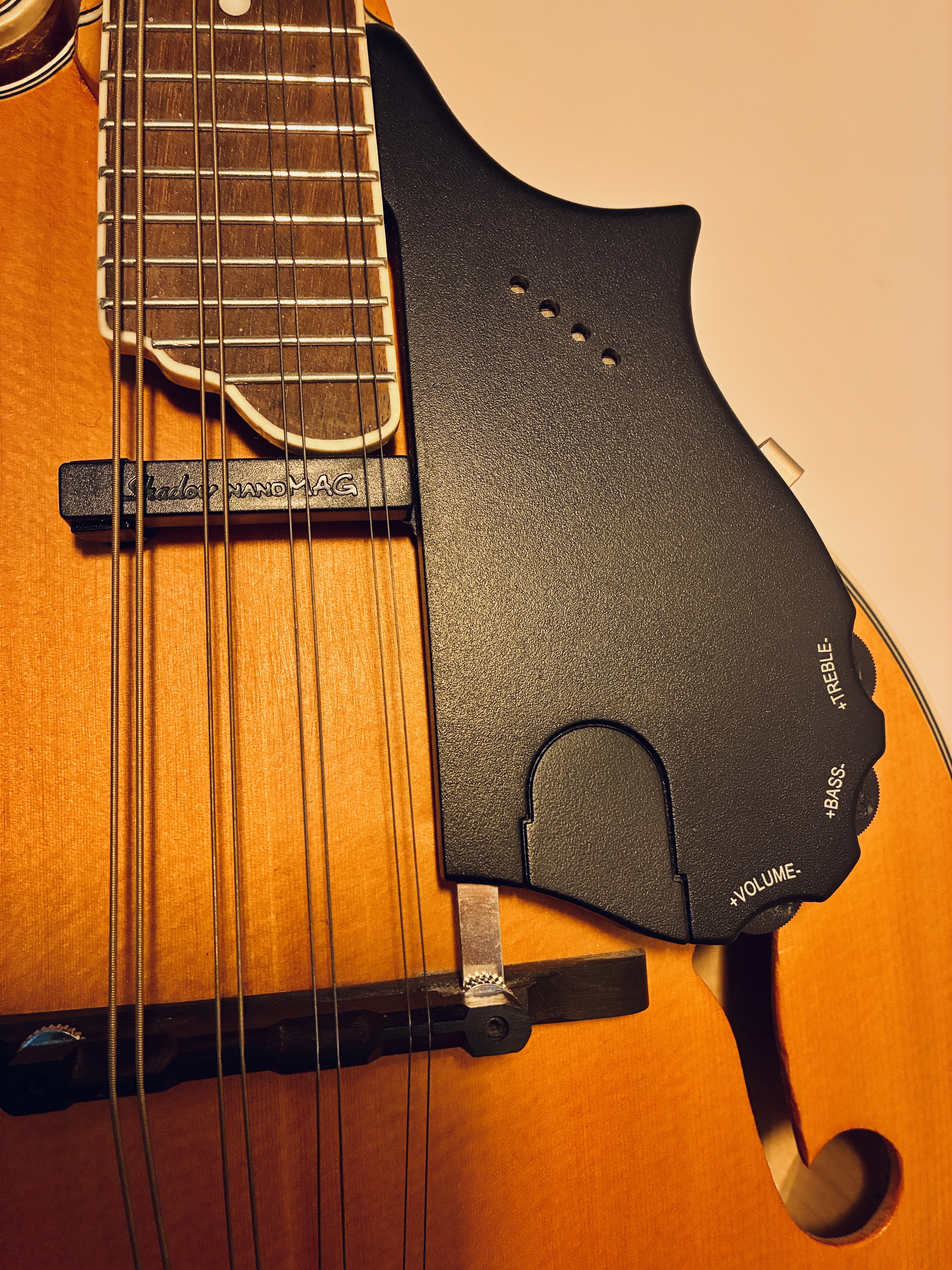 Epiphone MM-50E Professional (91078)