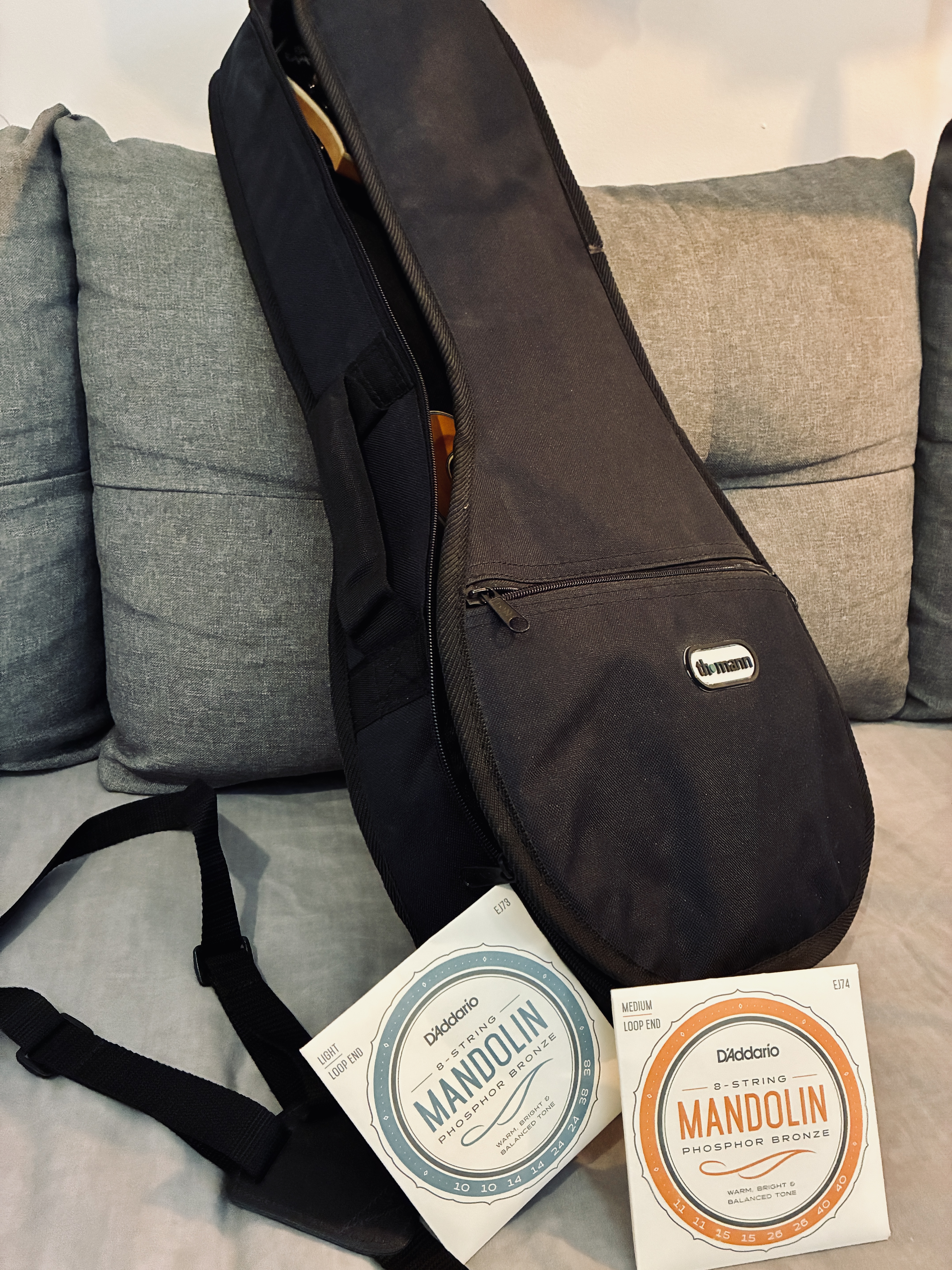 Epiphone MM-50E Professional (10843)