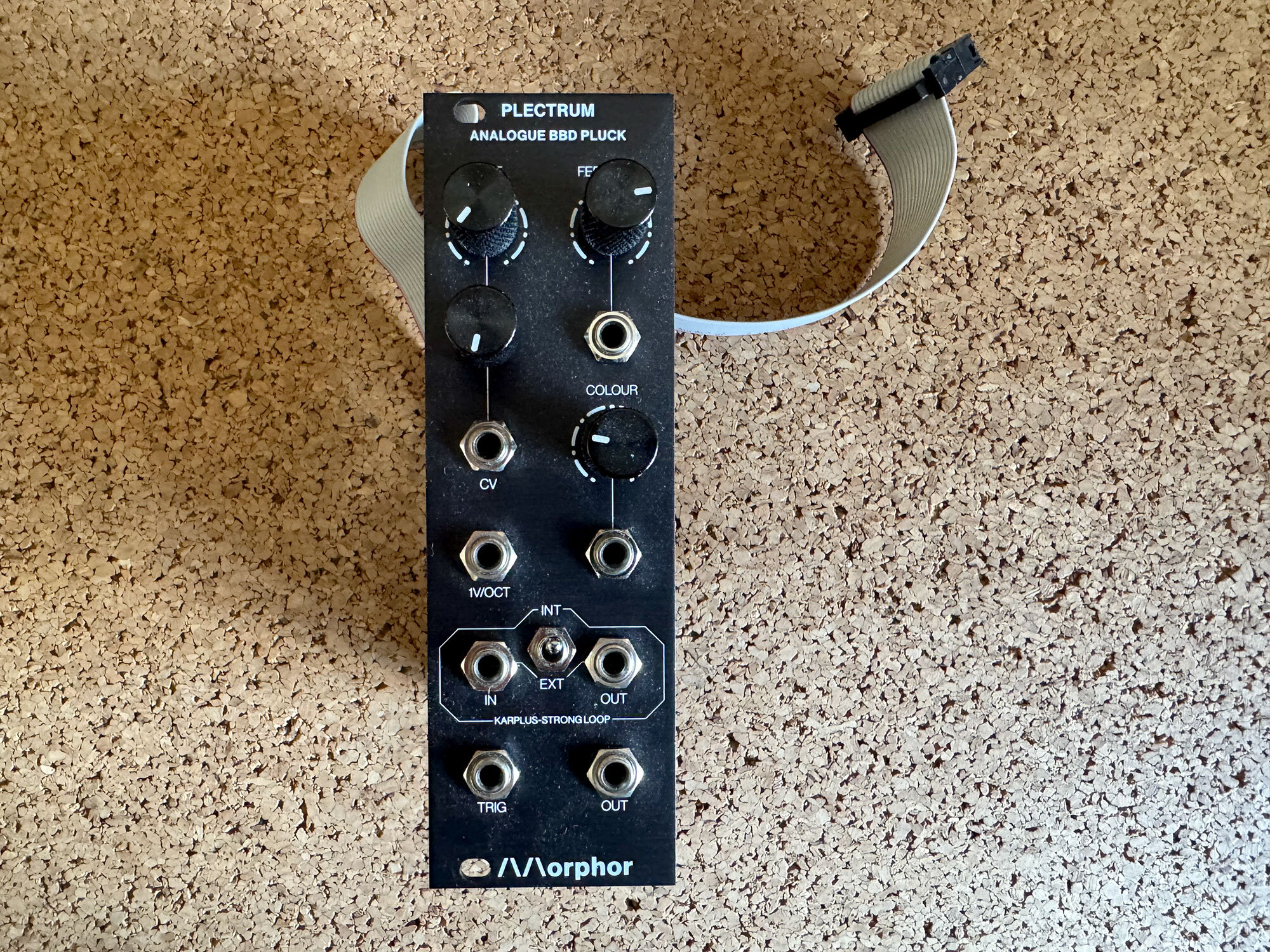 Vends un module karplus strong Morphor Plectrum