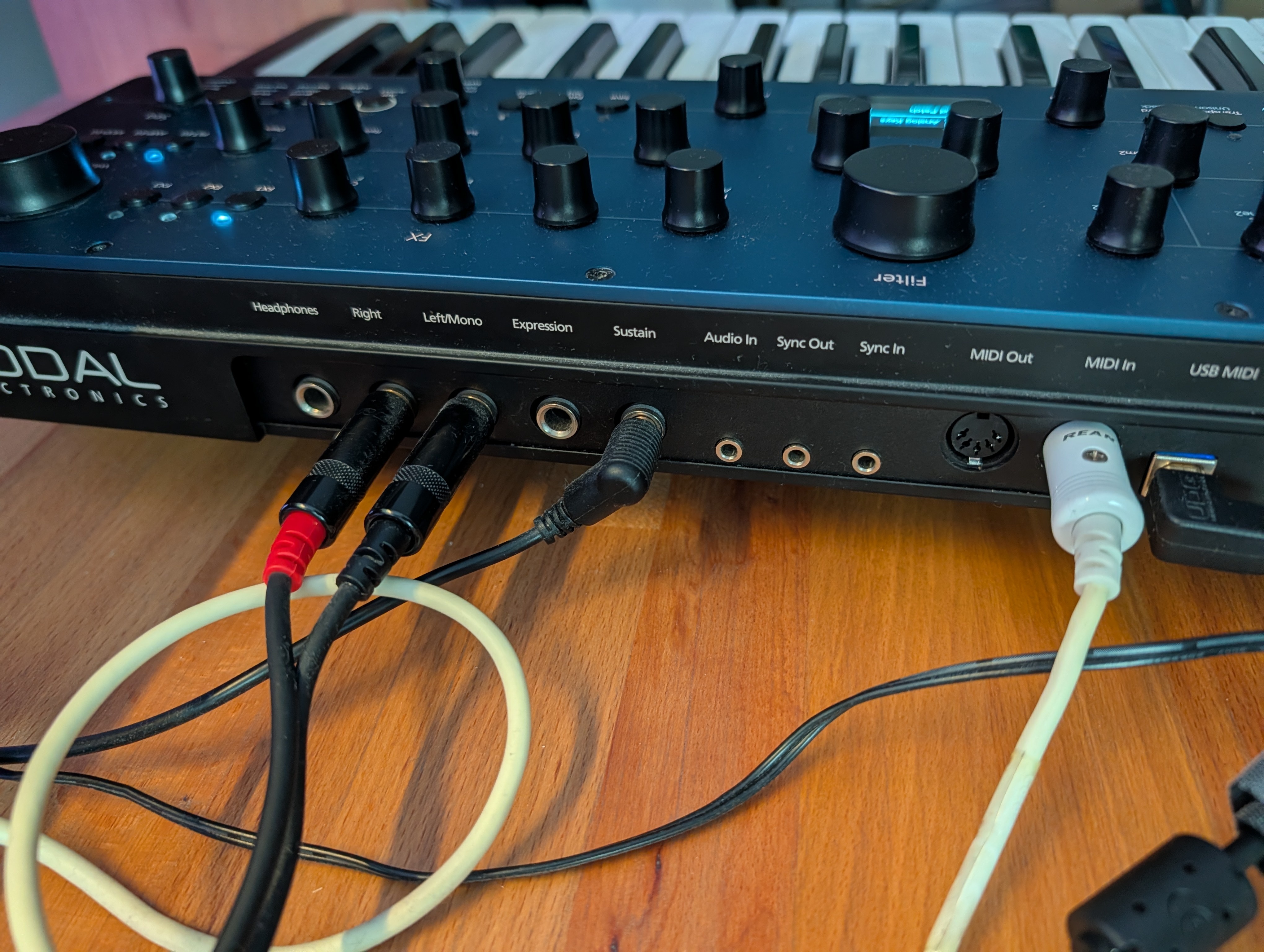 Modal Electronics Cobalt8 (87469)