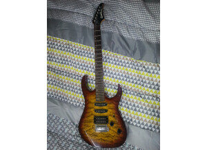 Washburn WR150 (26387)