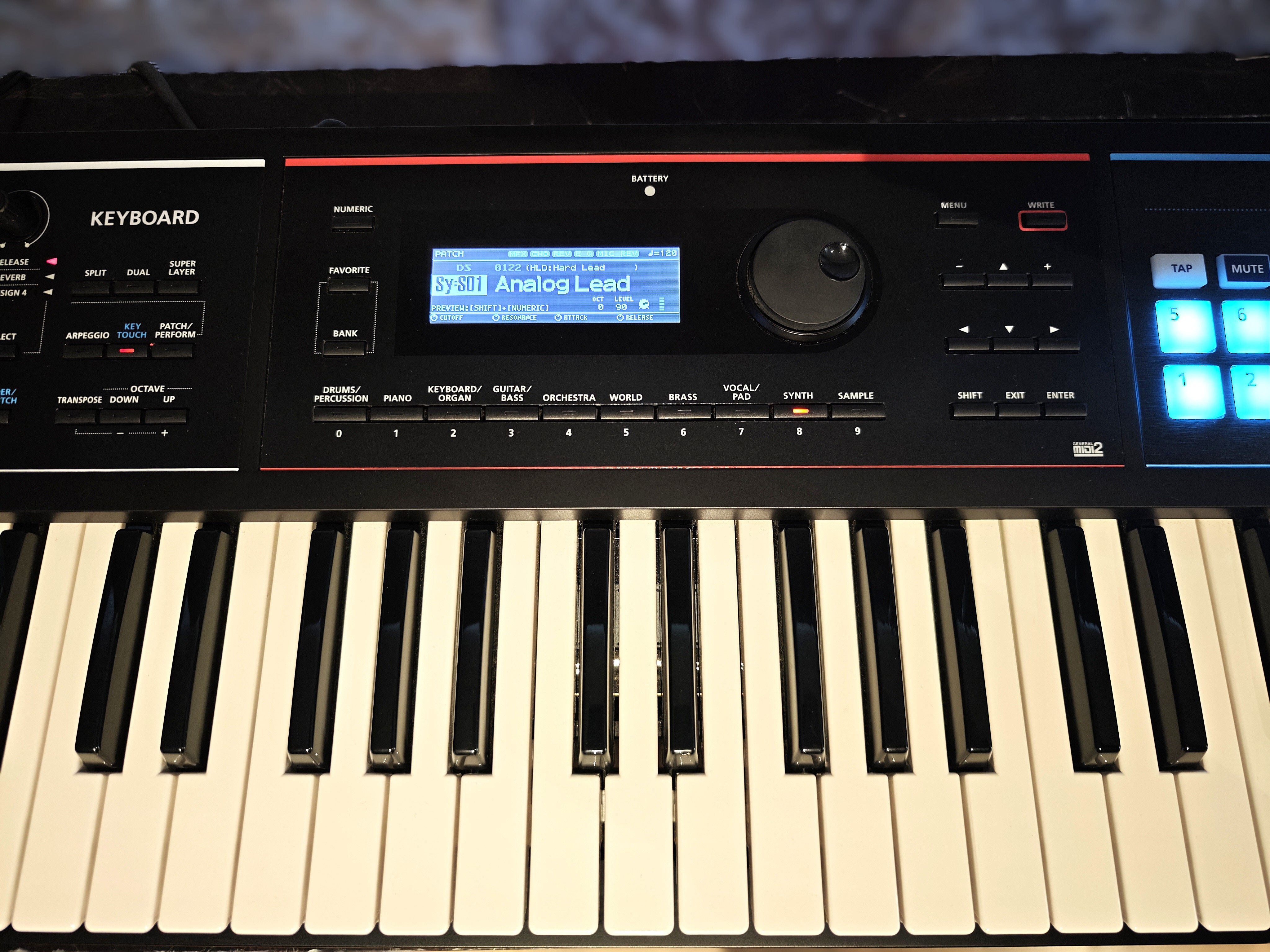 Roland JUNO-DS61 (50757)