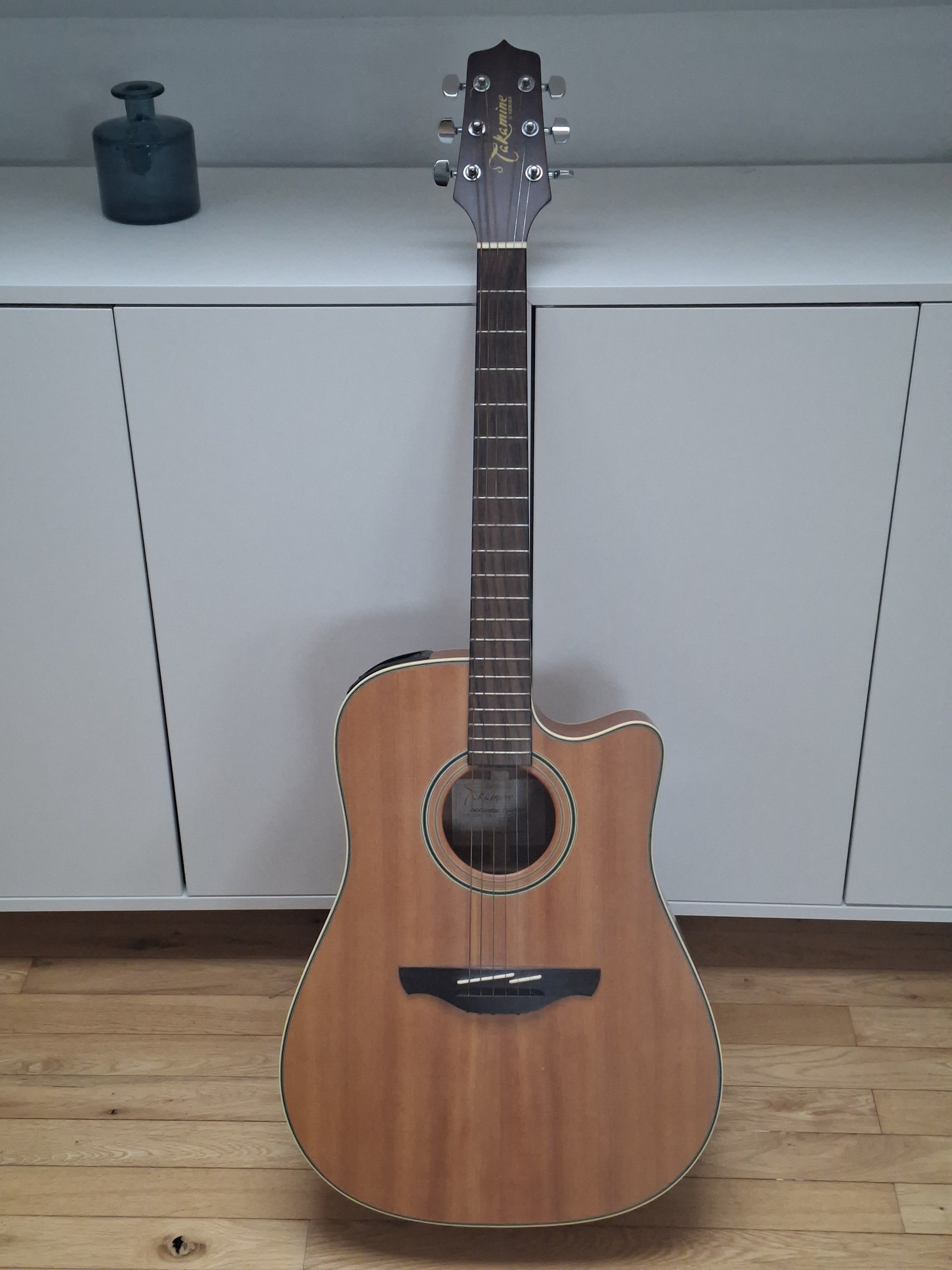 Vends electro acoustique takamine EG510sc