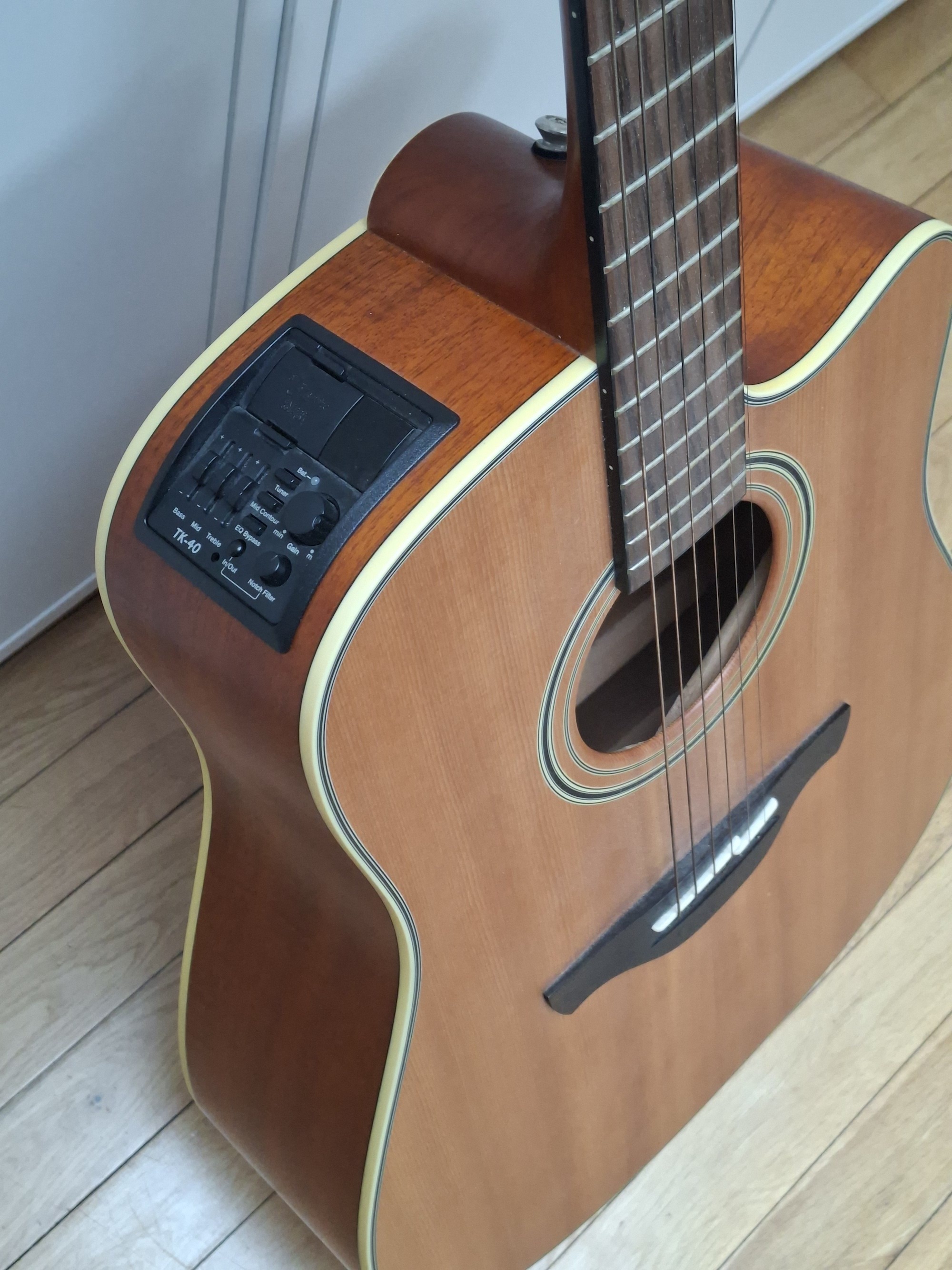 Takamine EG510SC (45922)
