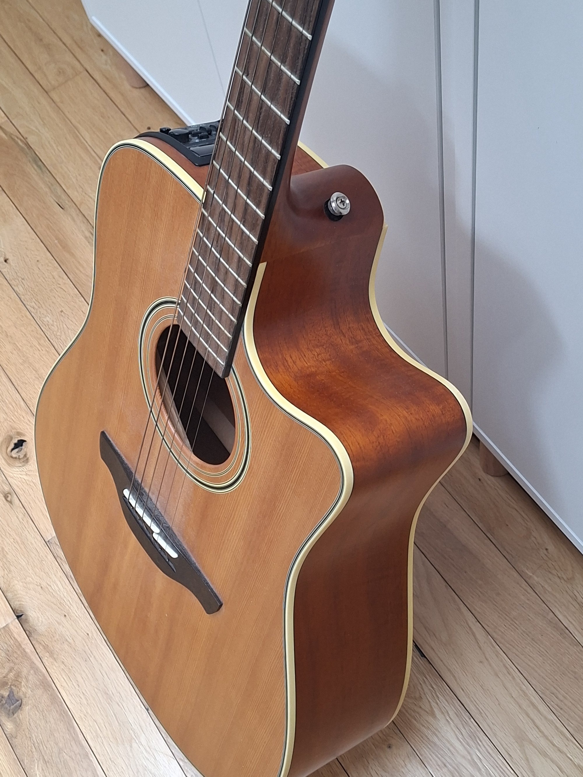 Takamine EG510SC (83441)