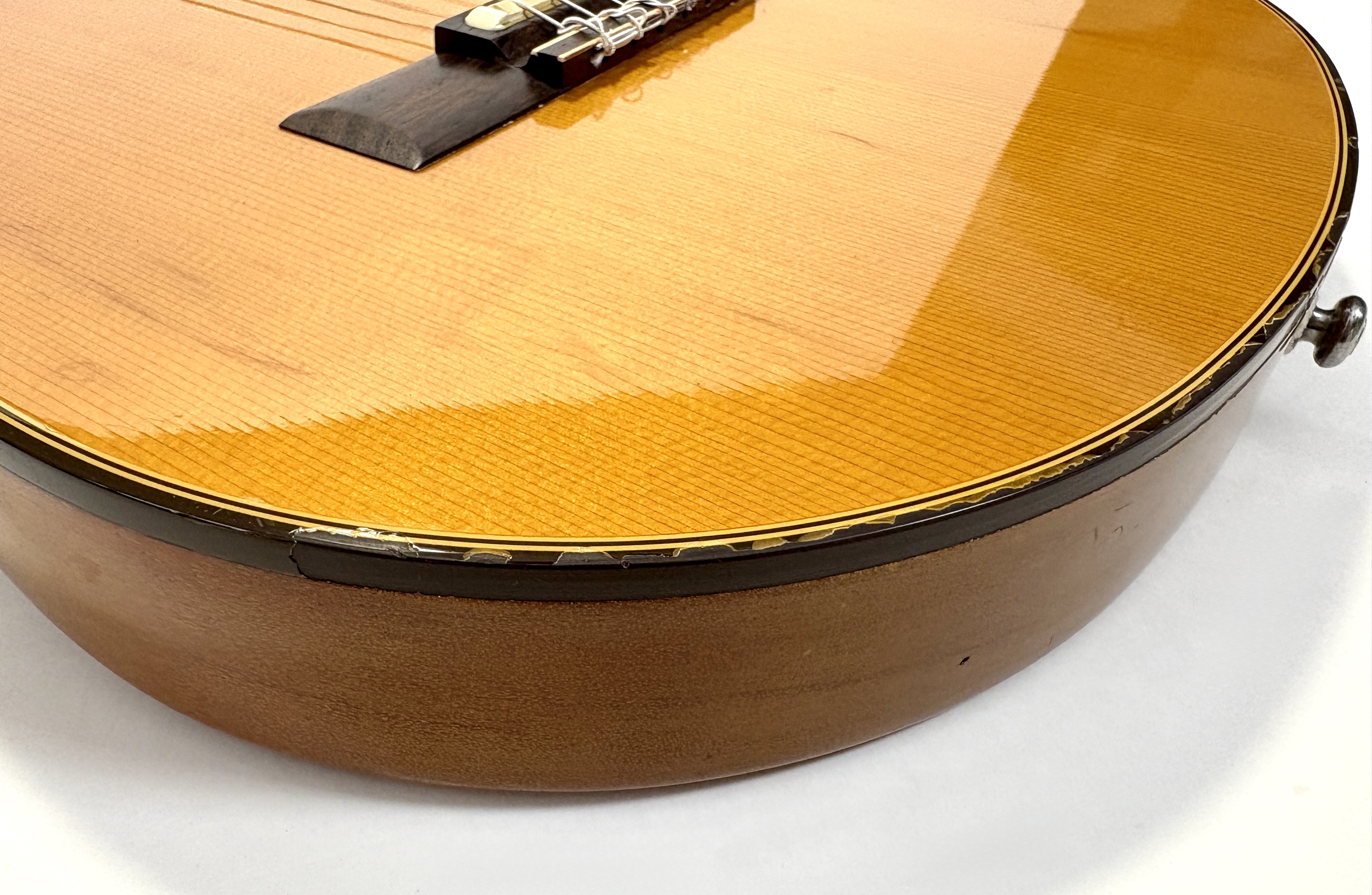 Gibson Chet Atkins CE/CEC (32190)
