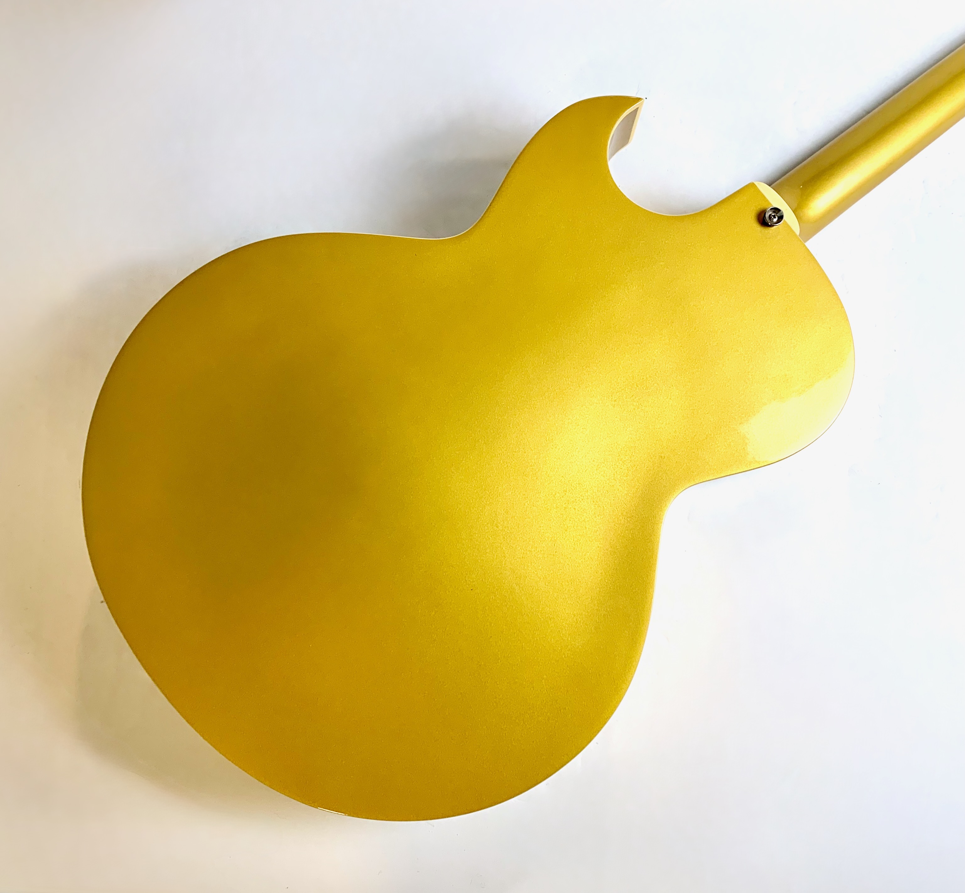Epiphone ES-295 (2363)
