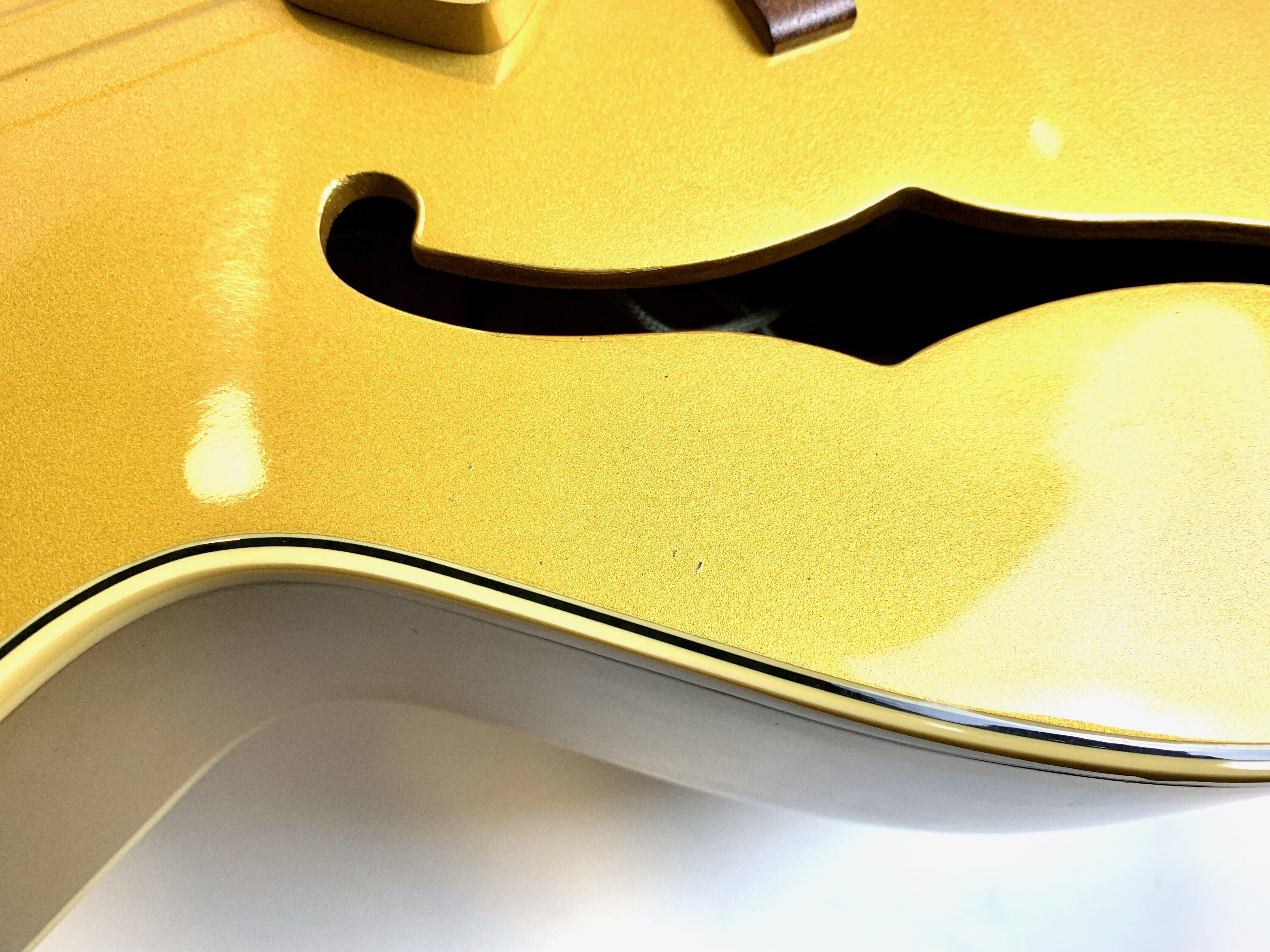 Epiphone ES-295 (21191)