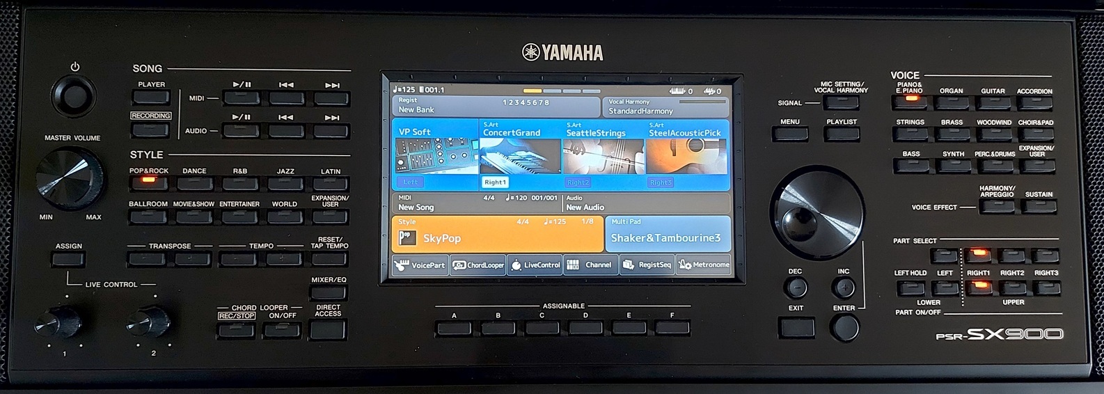 Yamaha PSR-SX900 (81343)