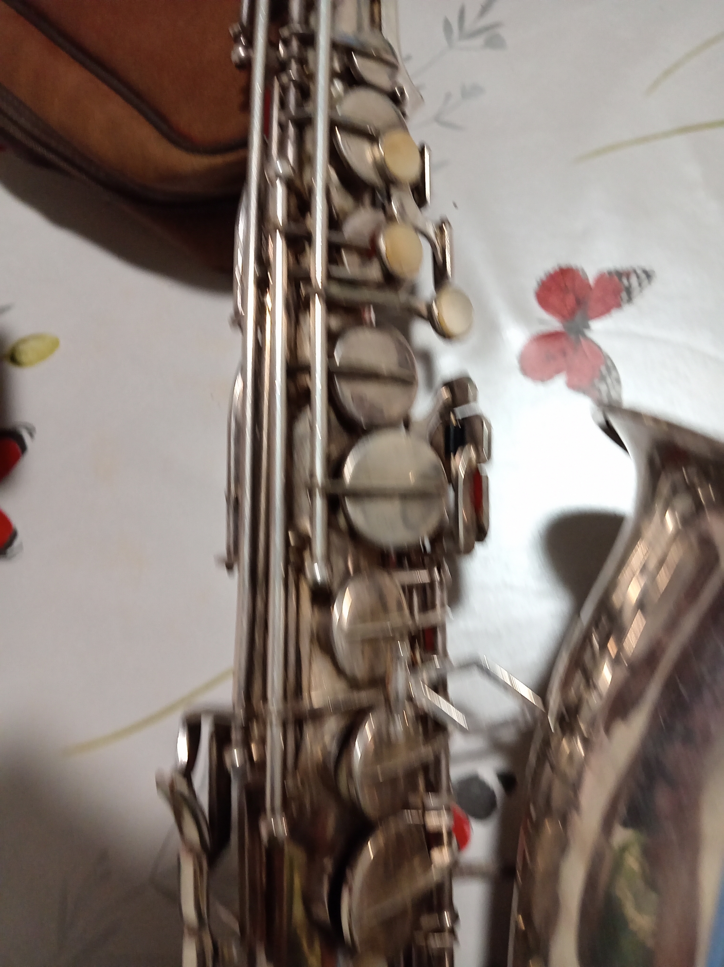 IMG 20261021 190727