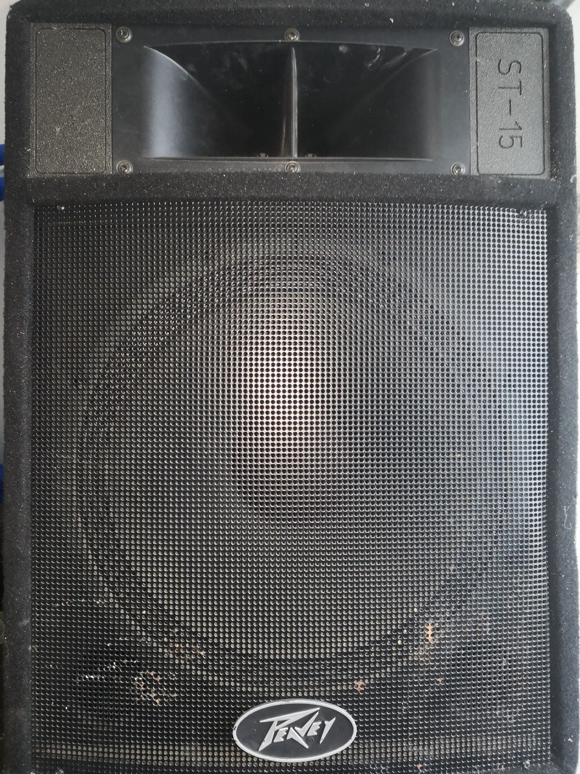 enceinte peavy