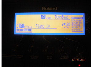 Roland G-1000 (96893)