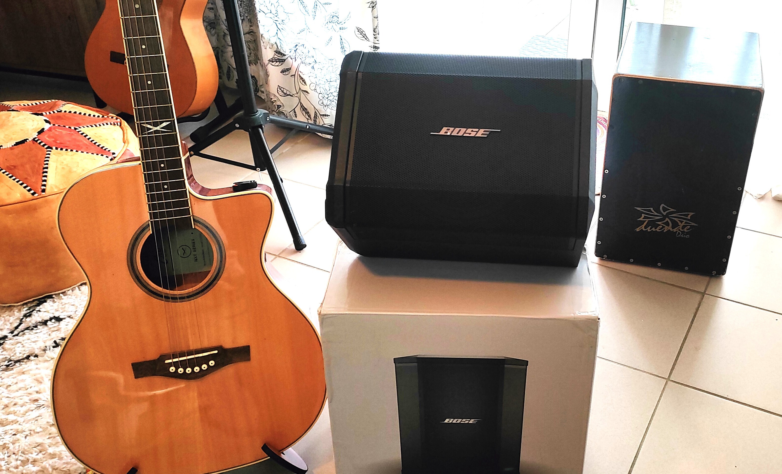 Bose S1 Pro (30942)