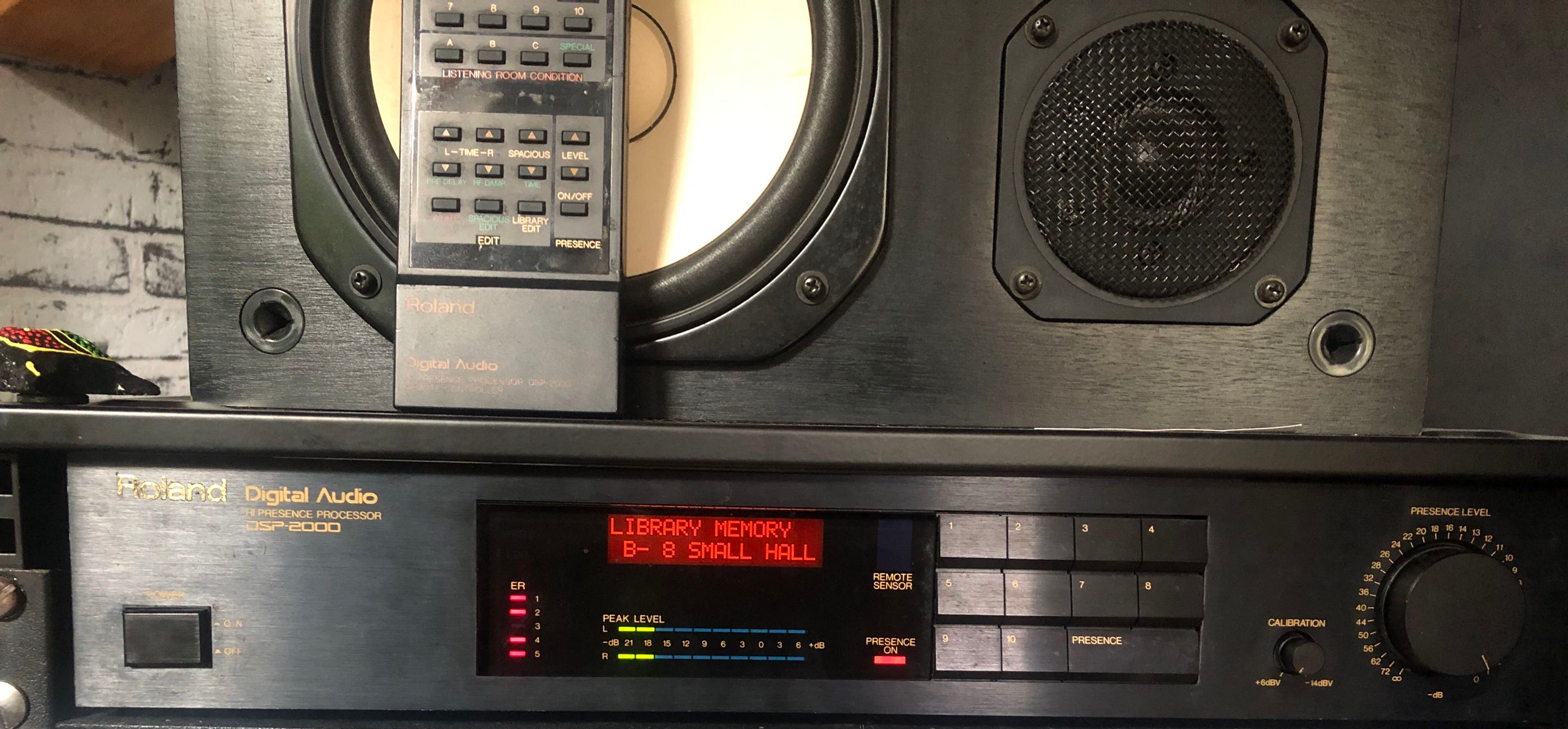 Rare Roland DSP-2000 Hi Presence Processor
