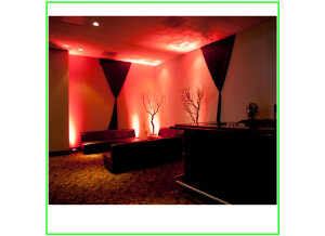 American DJ FLAT PAR QA5X