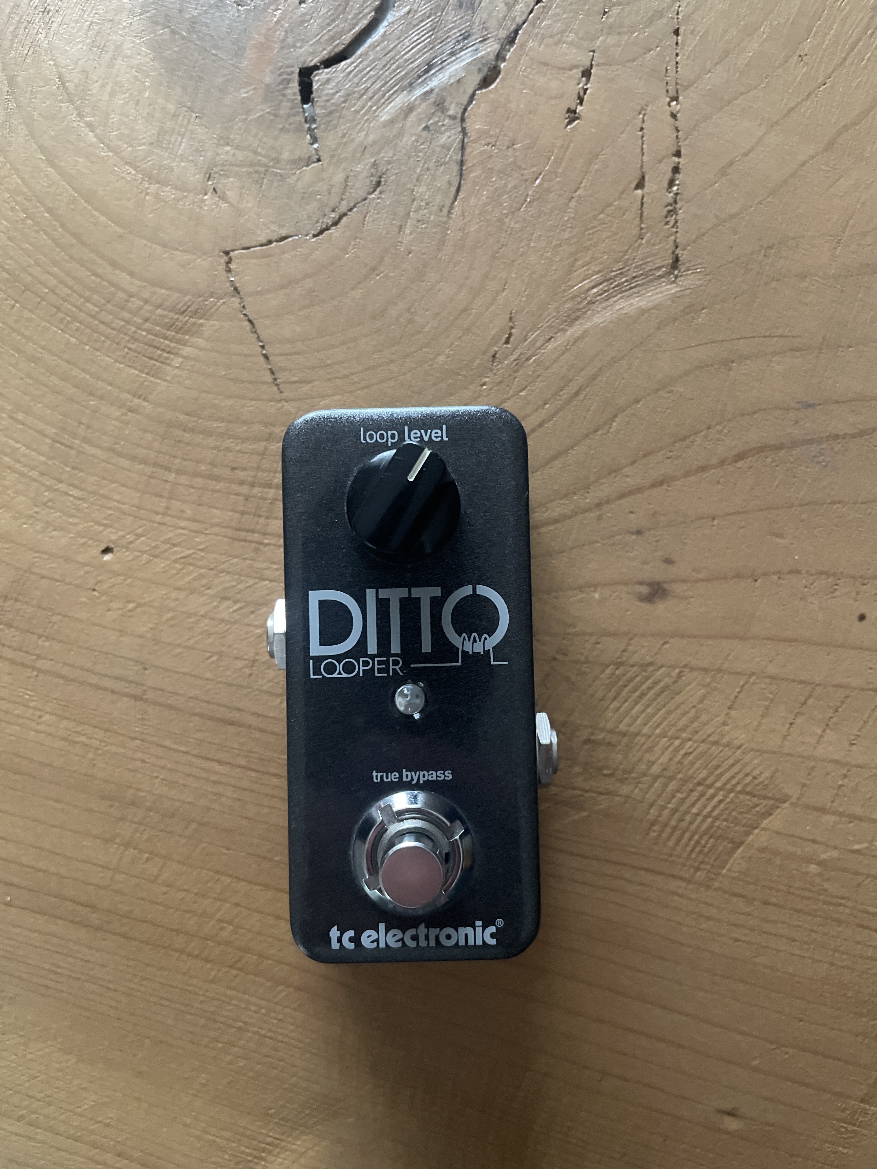 TC ELECTRONIC DITO LOOPER