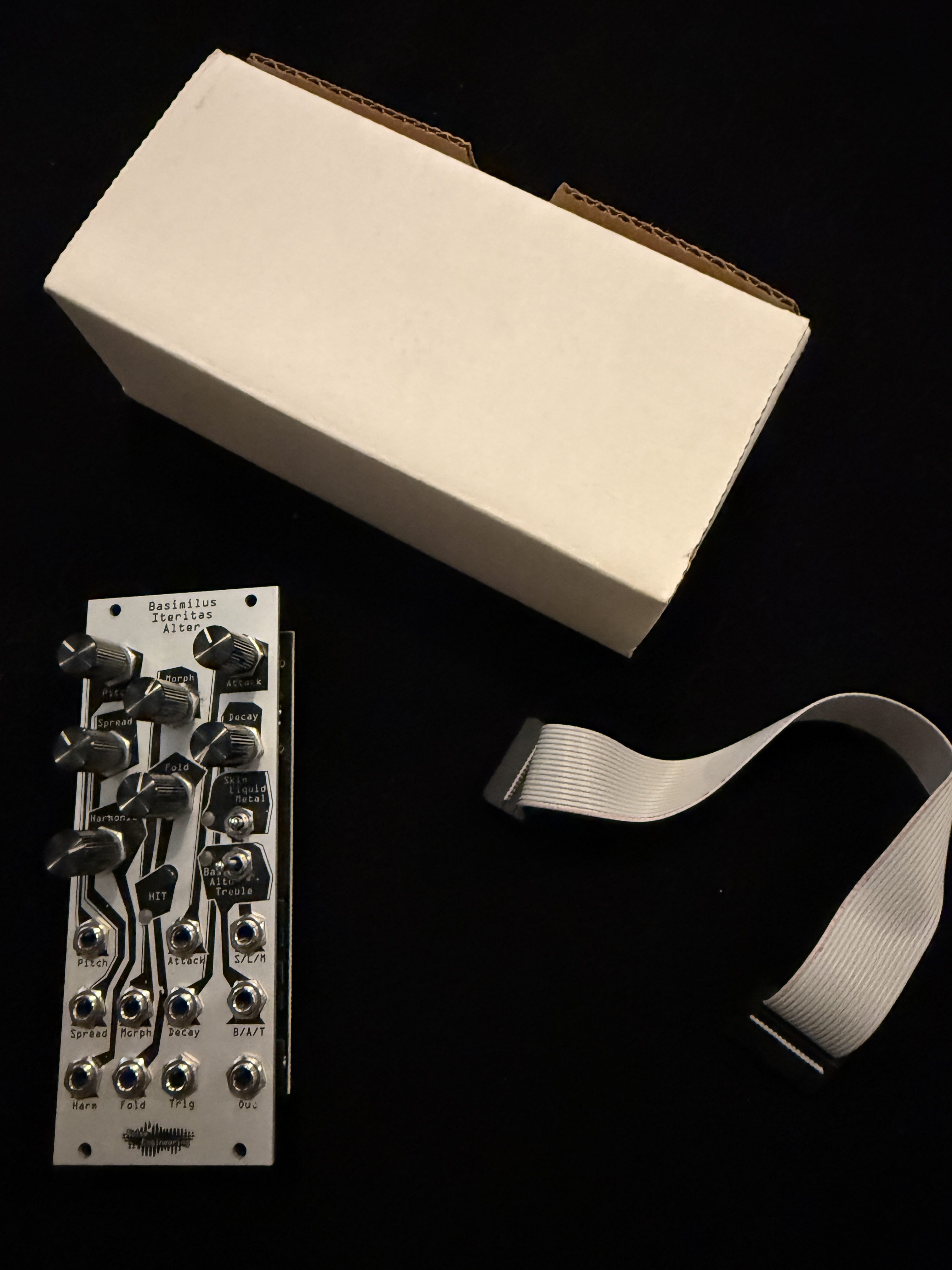Noise Engineering Basimilus iteritas alter (31147)